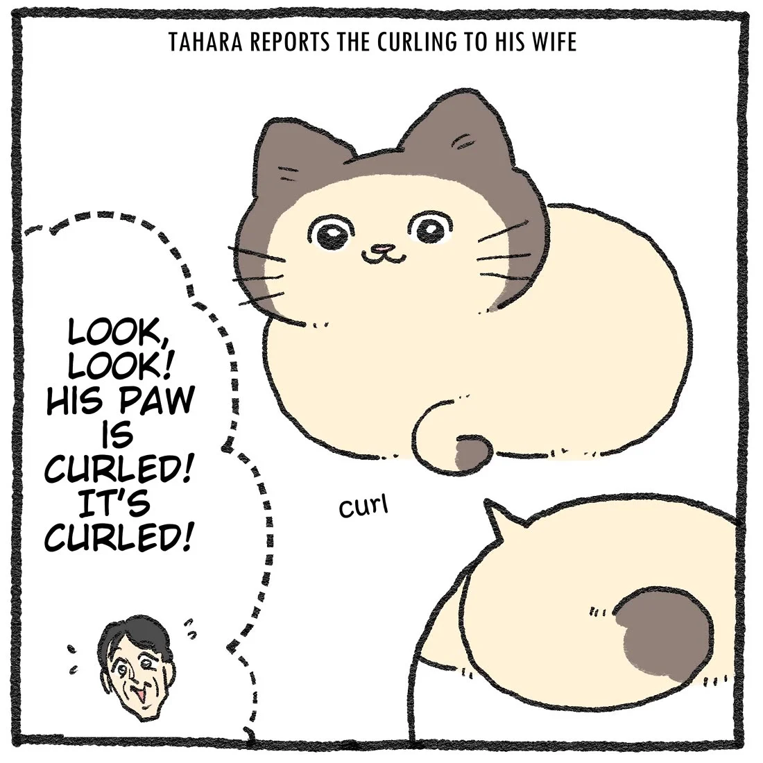 The Old Man Who Was Reincarnated As A Cat - Chapter 578.6: Twitter/X Extras