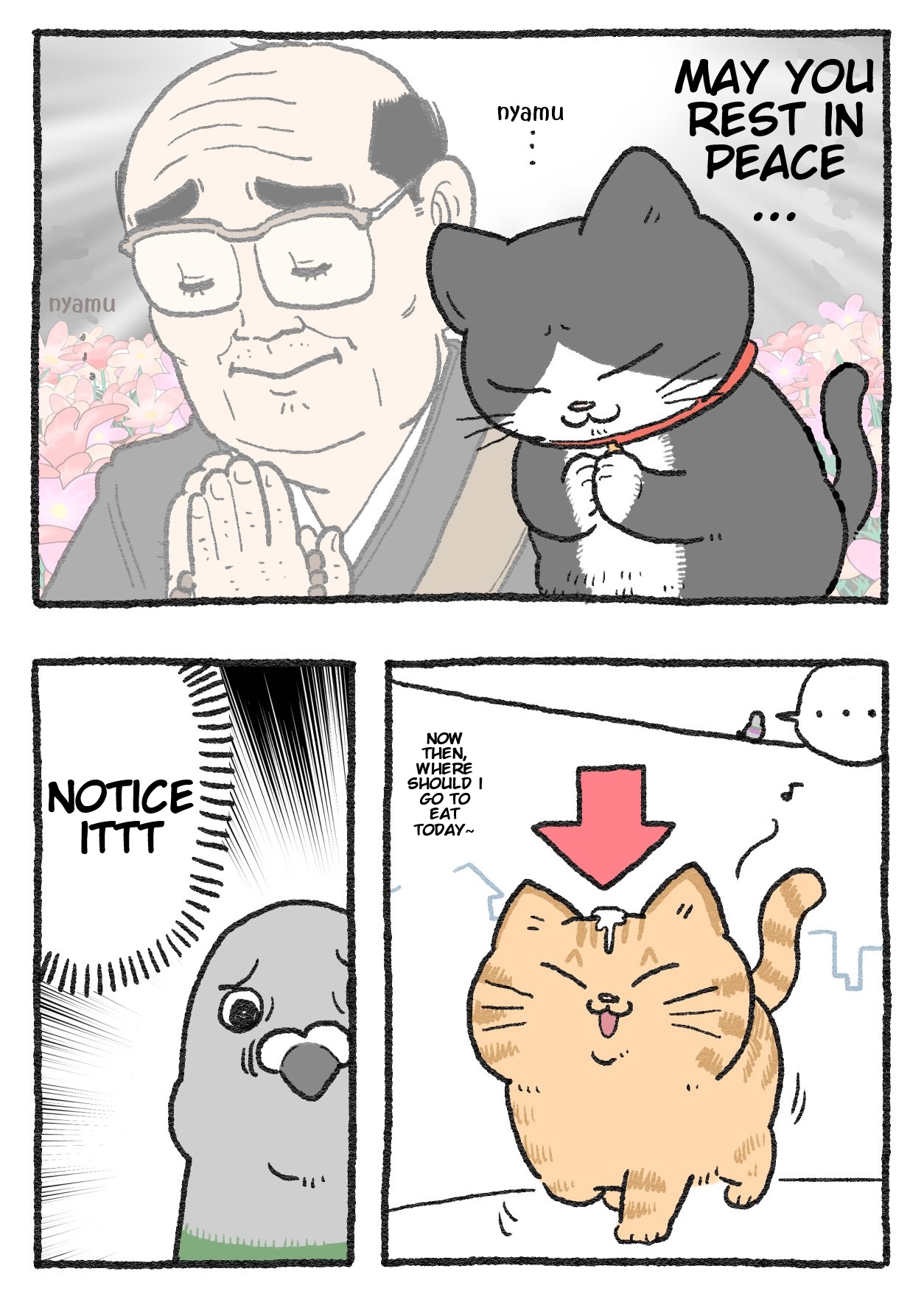 The Old Man Who Was Reincarnated As A Cat - Chapter 254