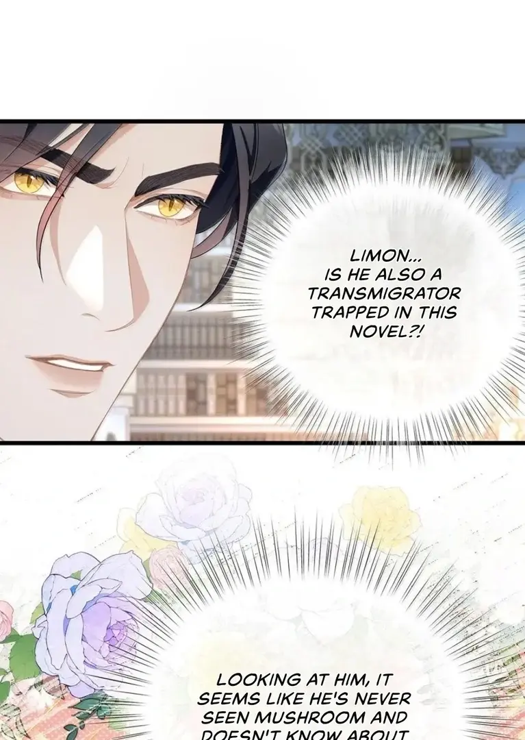 I Was Reborn As His Highness The Prince's Little Evil Dragon - Chapter 65