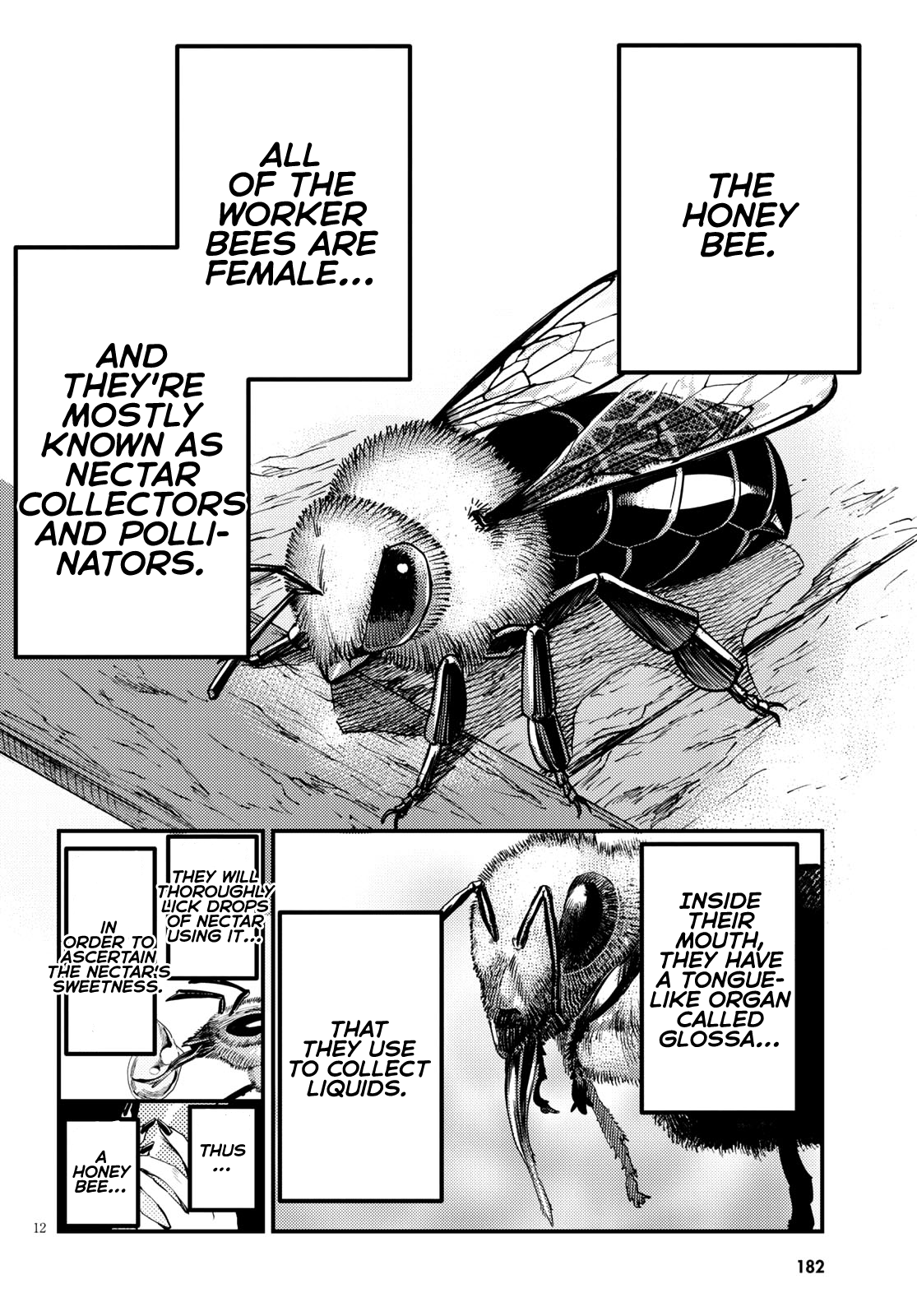 Konchuki - Chapter 6: The Cum Grail War