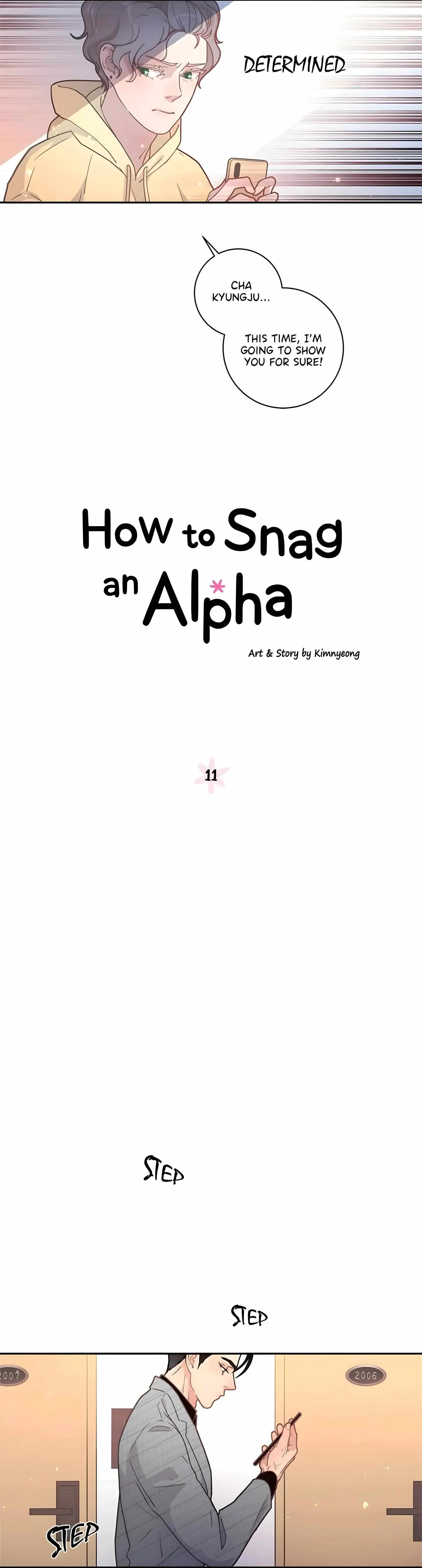 How To Chase An Alpha - Season.1  Chapter 11