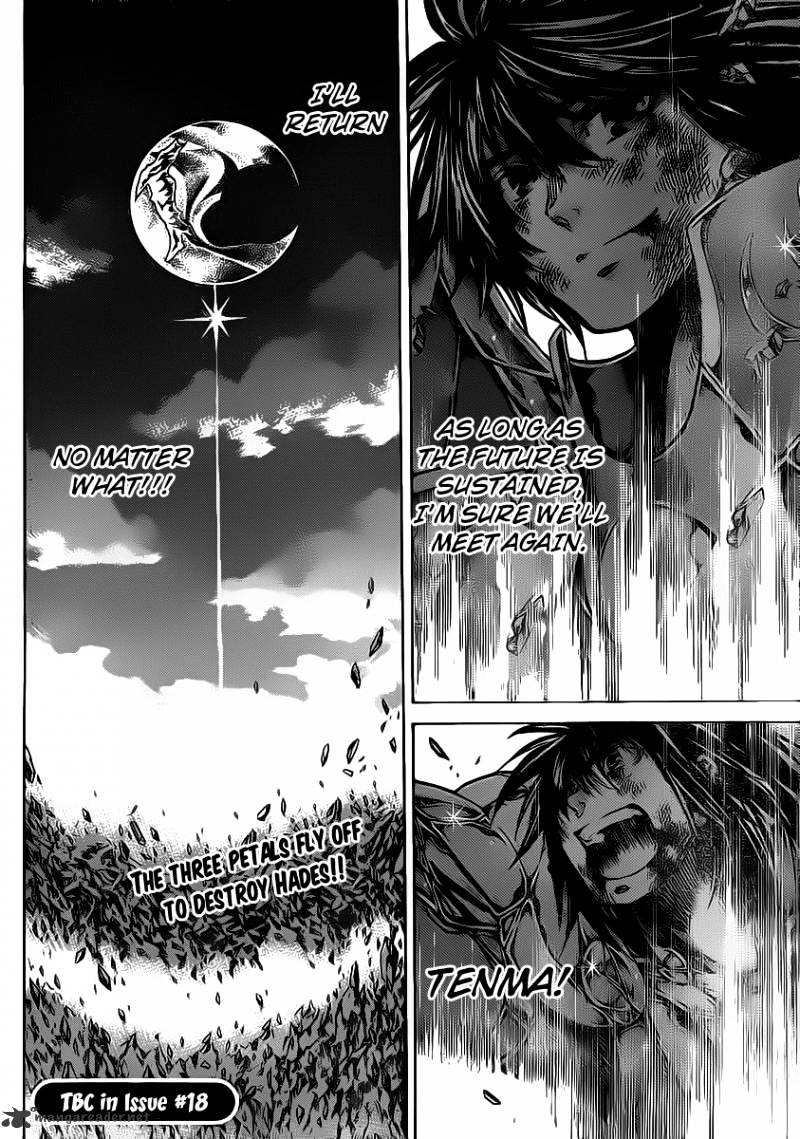 Saint Seiya - The Lost Canvas - Chapter 221 : Connected Petals