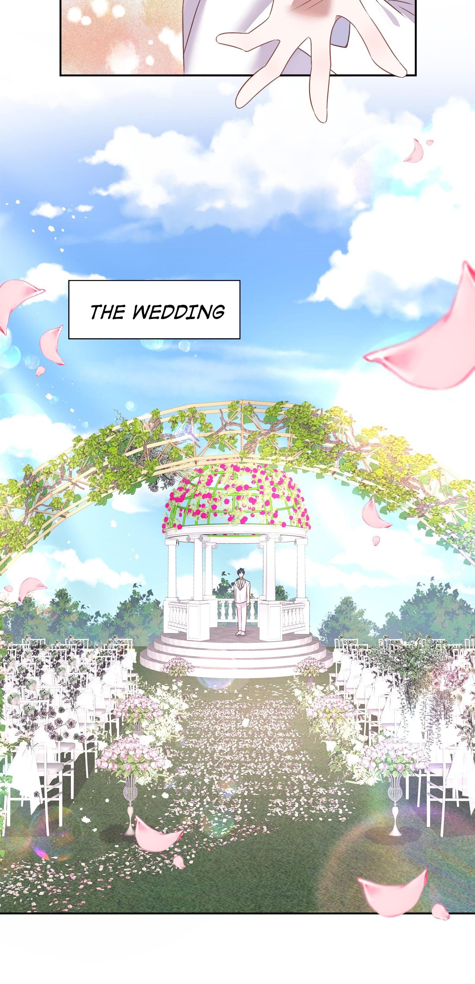 This Boy Got Me Falling Hard - Chapter 75: Wedding Ceremony