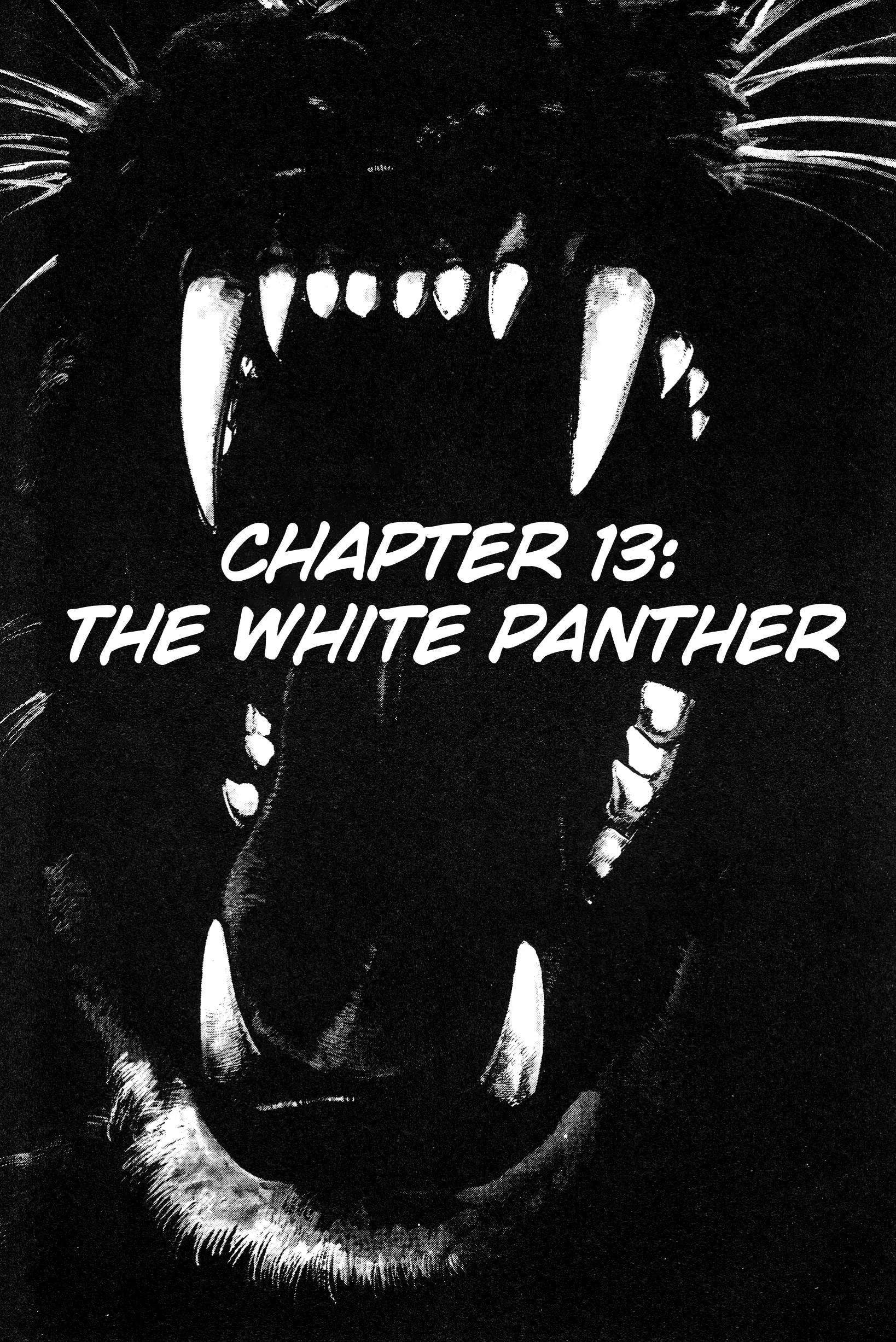 Jigoku No Senki - The Lethal Demon - Vol.3 Chapter 13: The White Panther