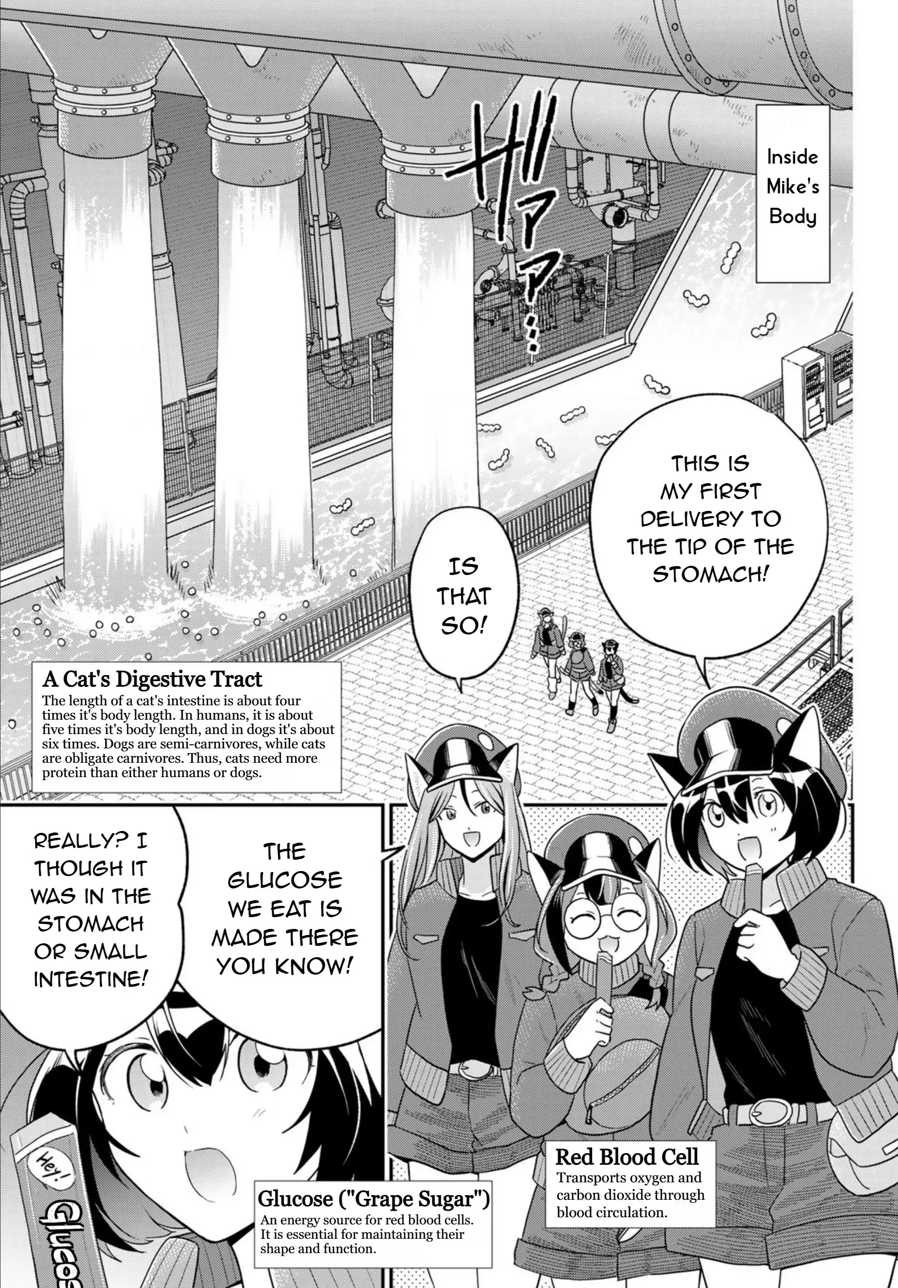 Cells At Work! Cat - Chapter 16