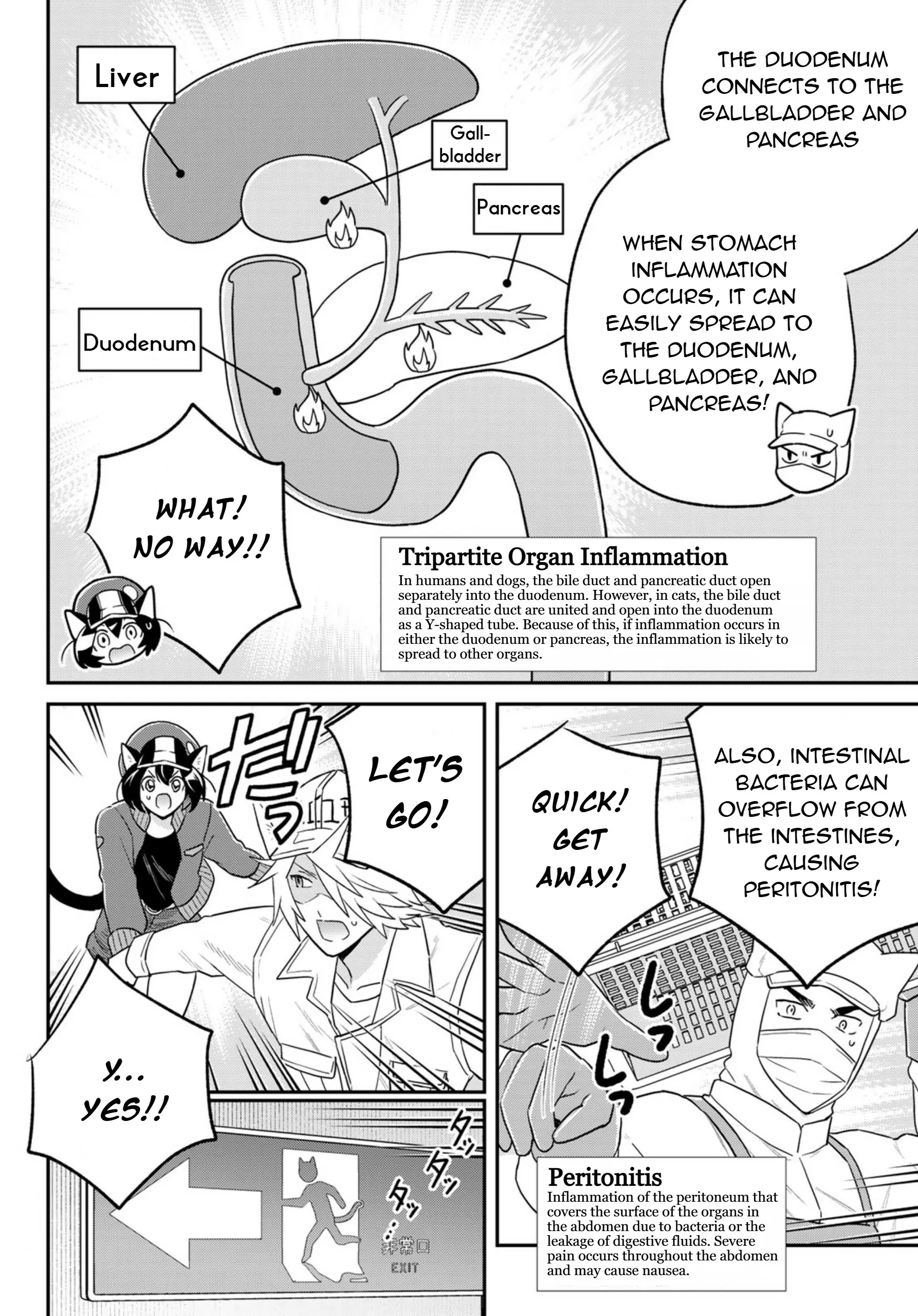 Cells At Work! Cat - Chapter 16