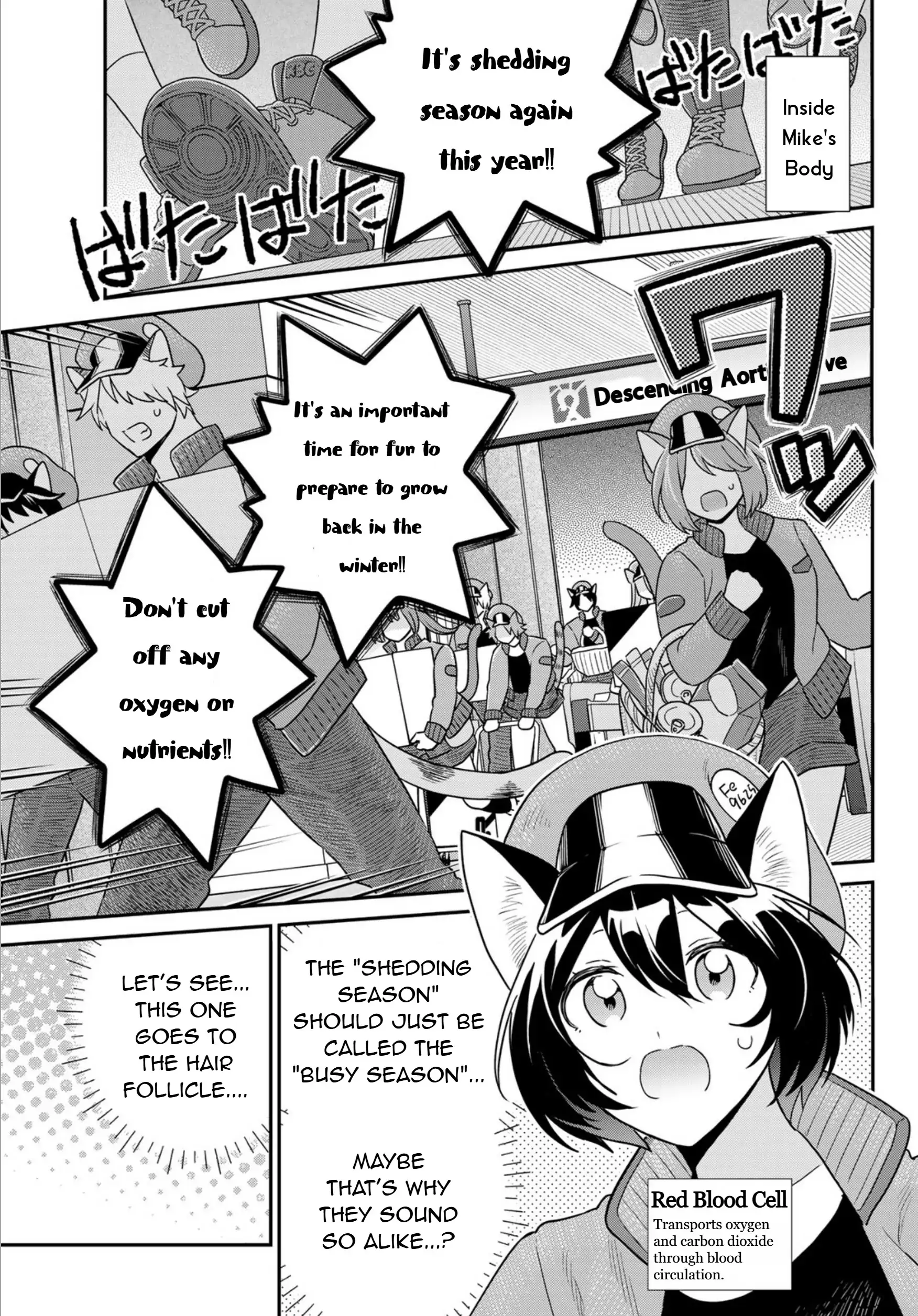 Cells At Work! Cat - Chapter 15