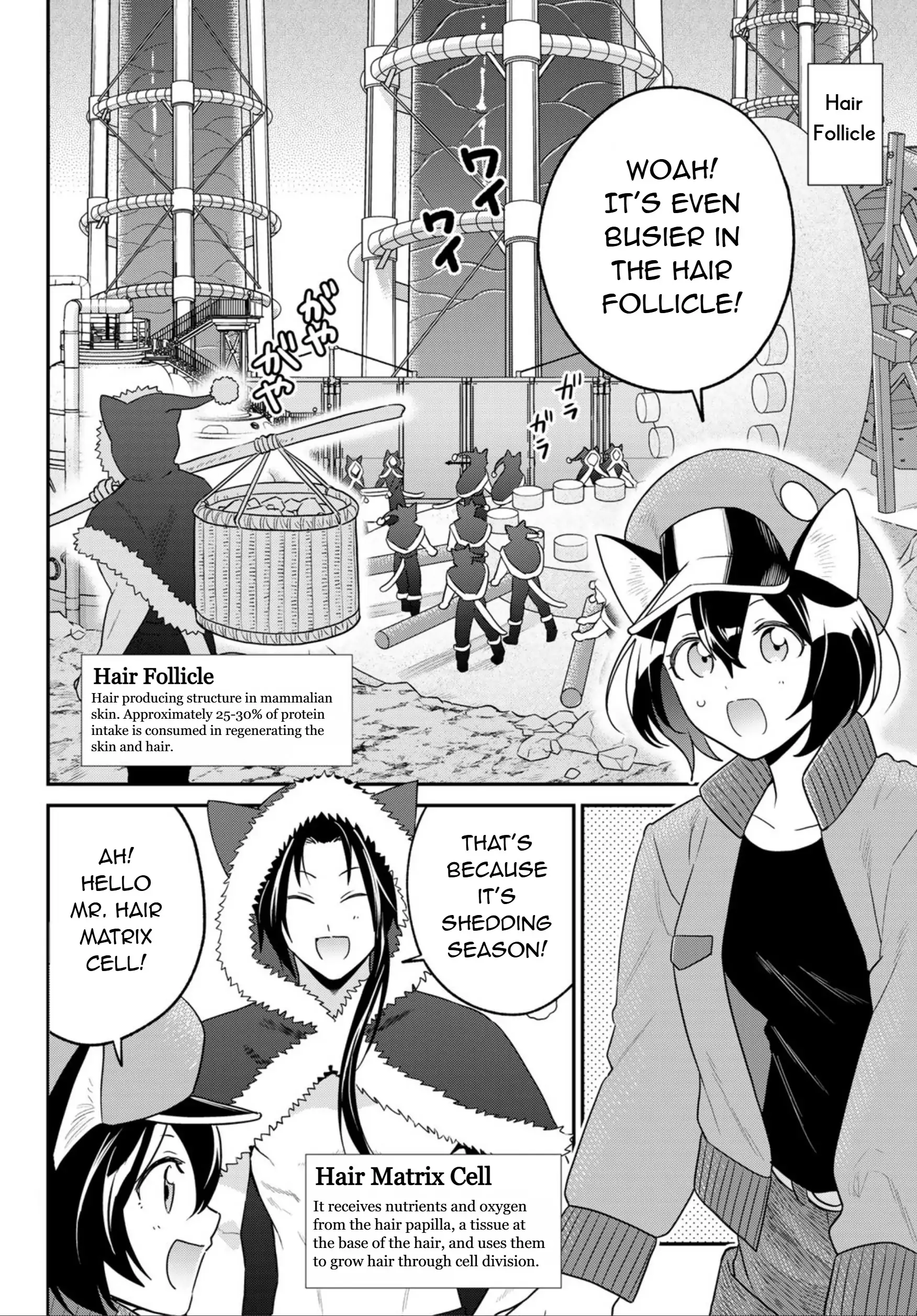 Cells At Work! Cat - Chapter 15