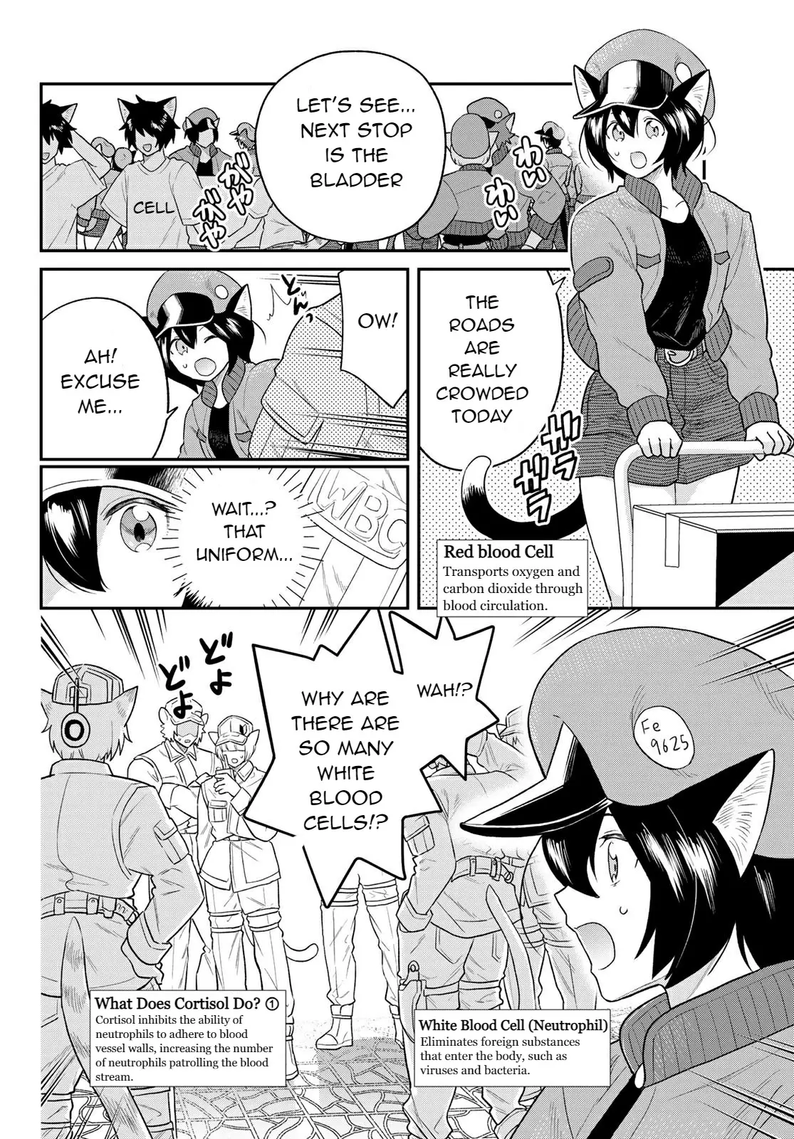 Cells At Work! Cat - Vol.2 Chapter 6: Chapter 6: Idiopathic Cystitis