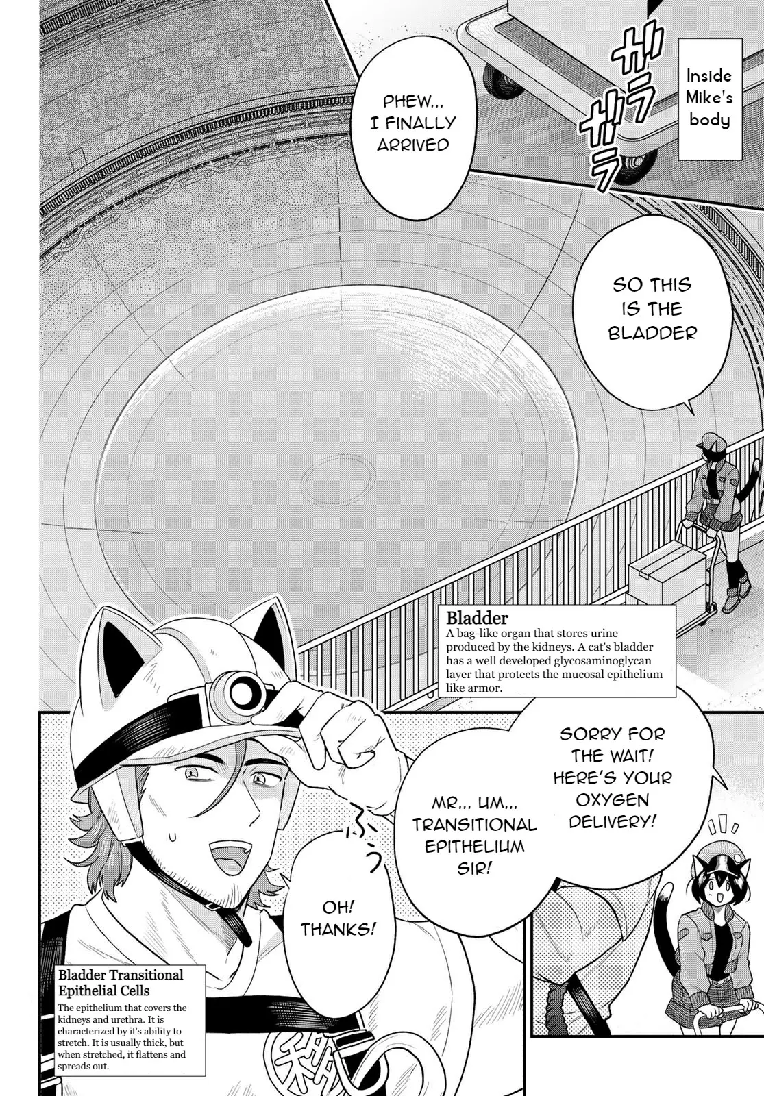 Cells At Work! Cat - Vol.2 Chapter 6: Chapter 6: Idiopathic Cystitis