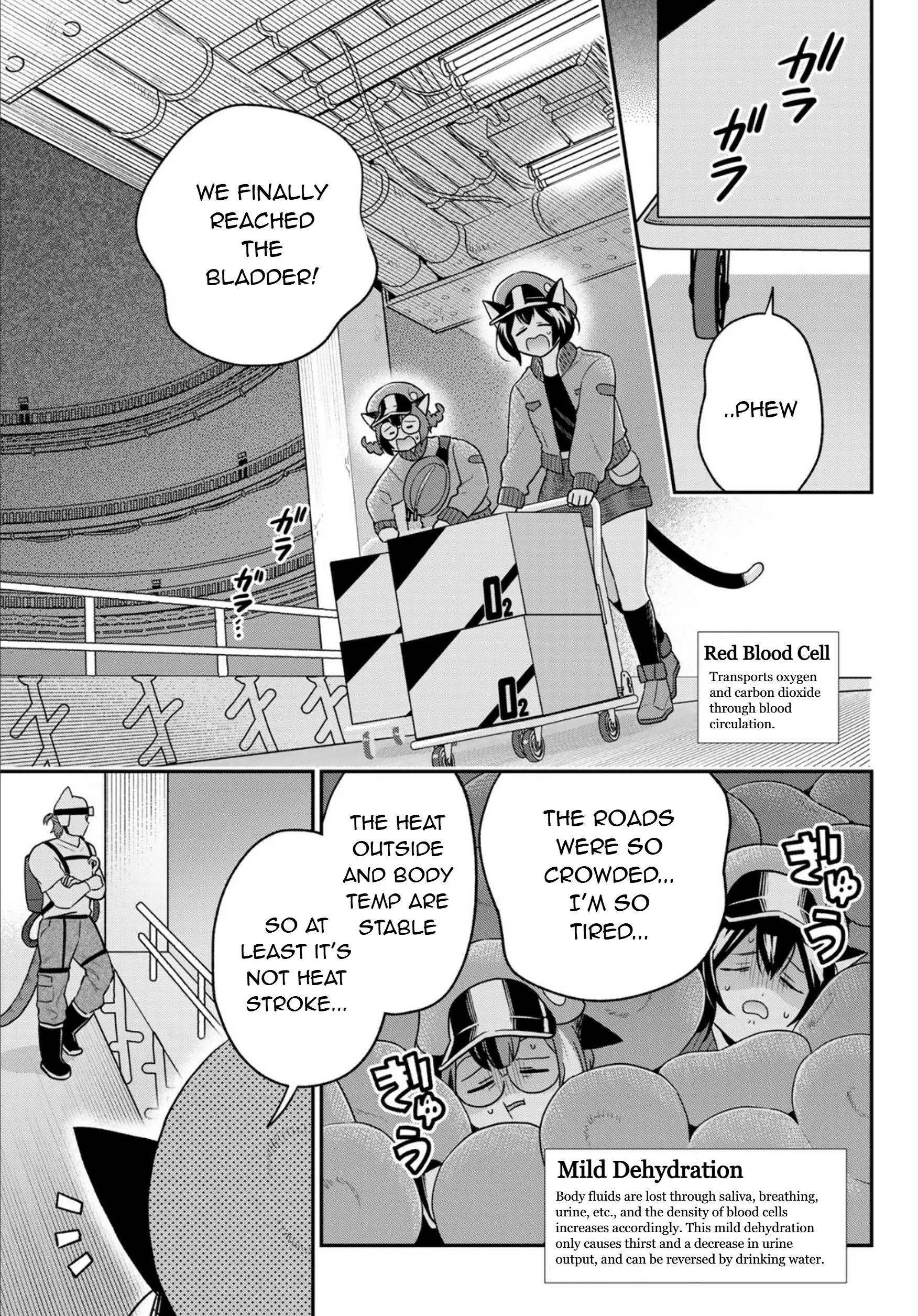 Cells At Work! Cat - Vol.3 Chapter 12: Chapter 12: Hydration