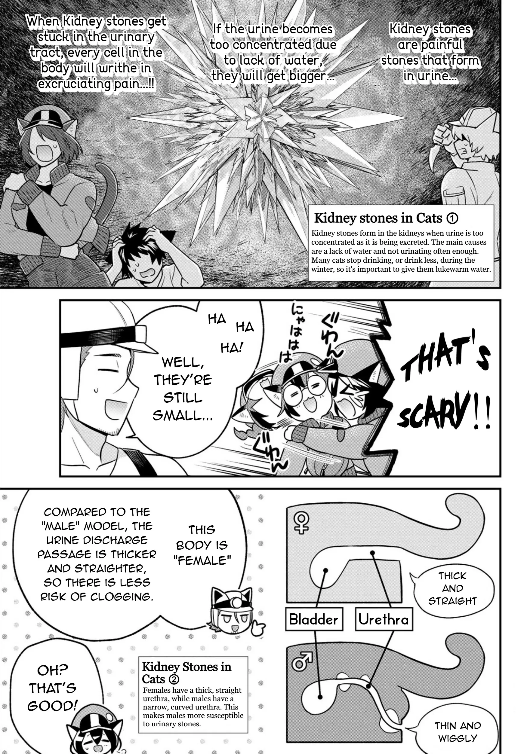 Cells At Work! Cat - Vol.3 Chapter 12: Chapter 12: Hydration