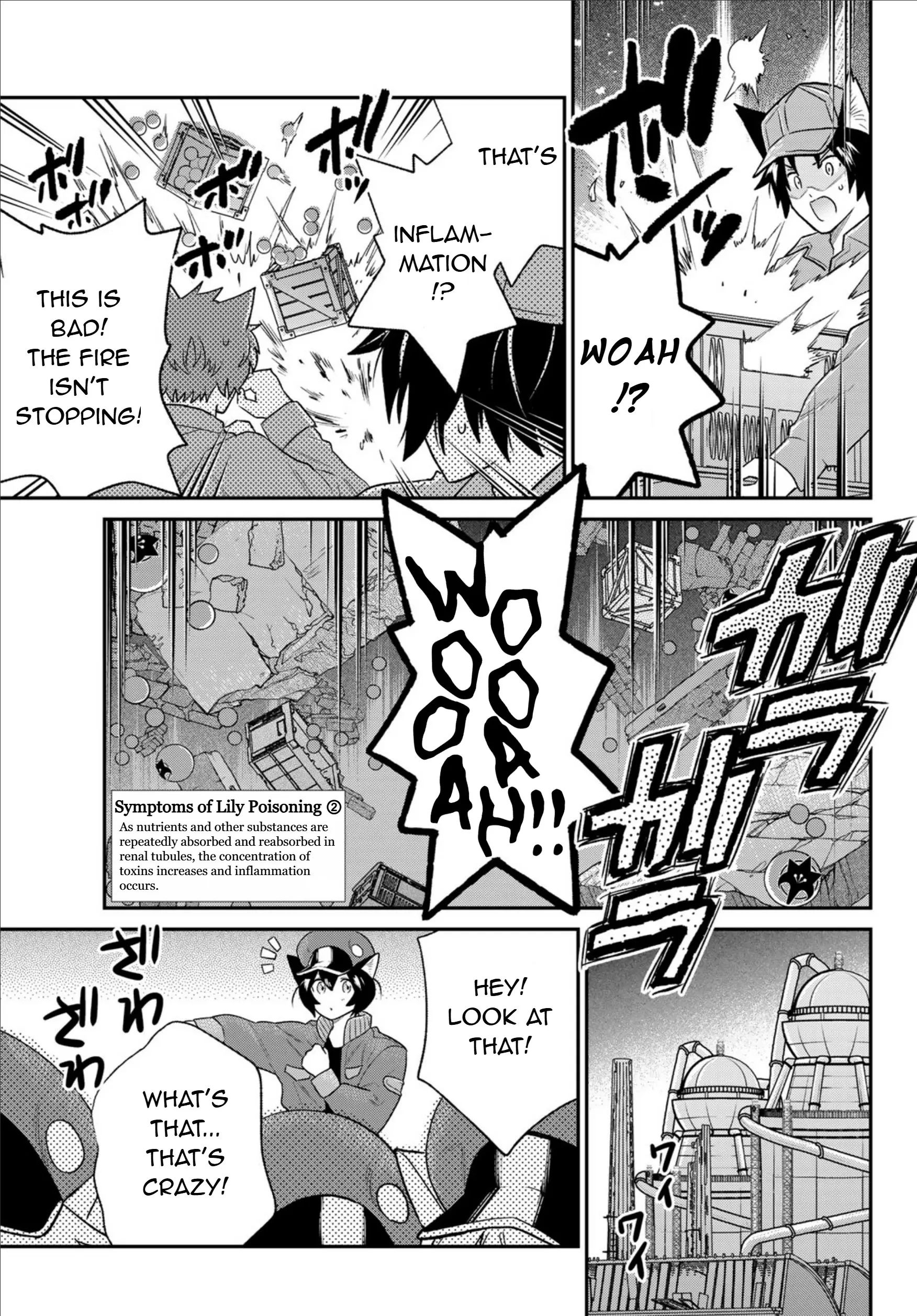 Cells At Work! Cat - Vol.2 Chapter 7: Chapter 6: Lily Poisoning