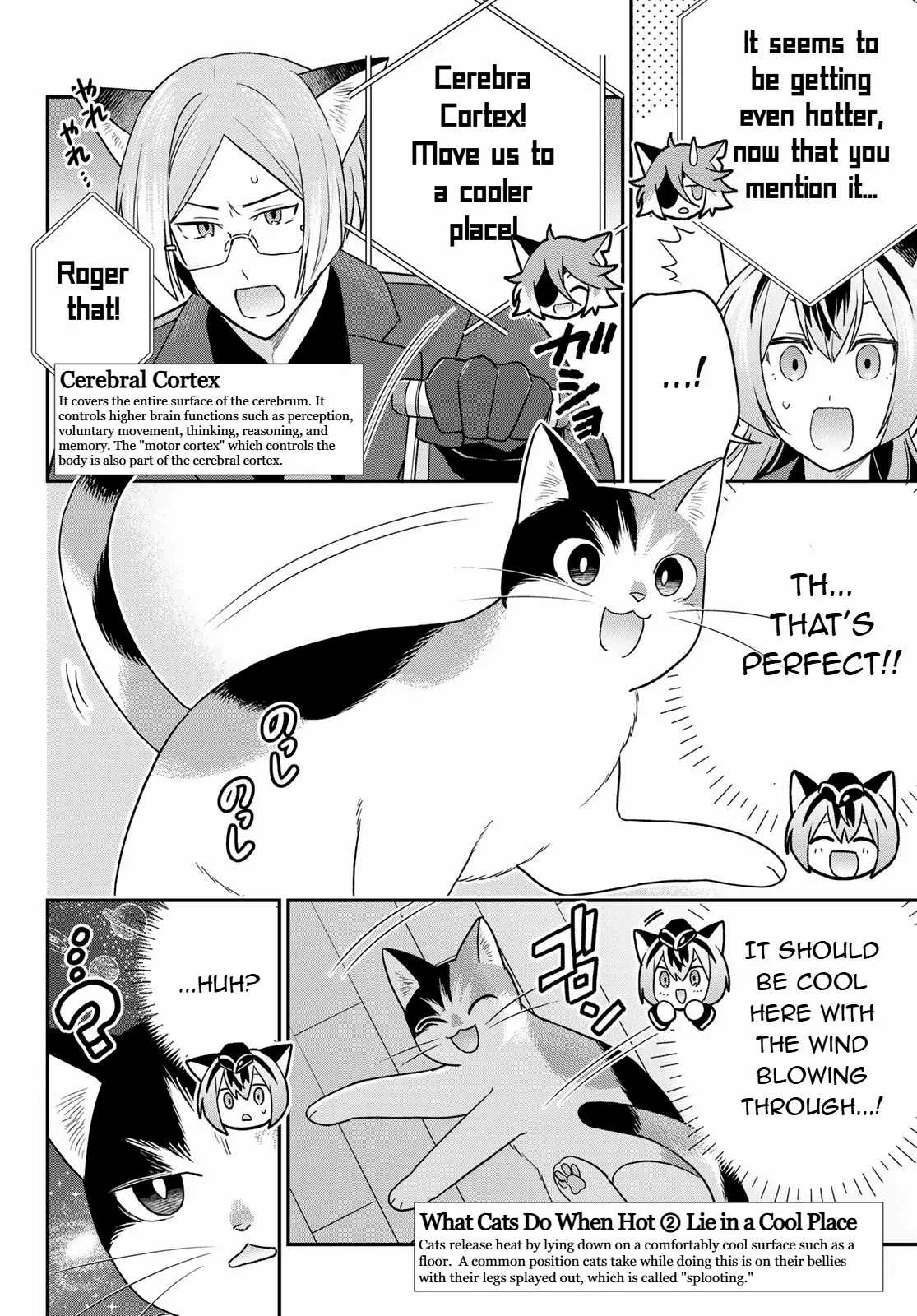 Cells At Work! Cat - Chapter 11