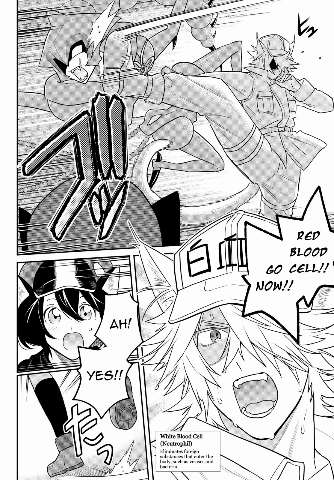 Cells At Work! Cat - Chapter 11