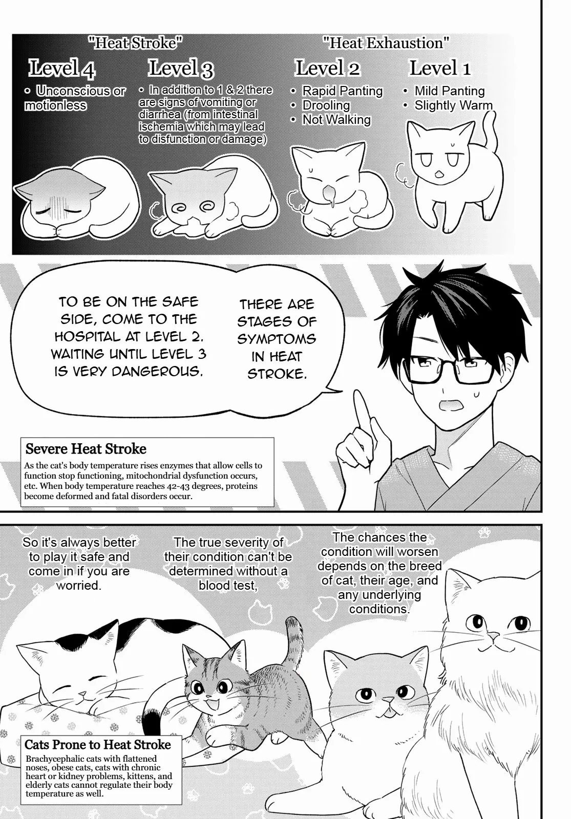 Cells At Work! Cat - Chapter 11