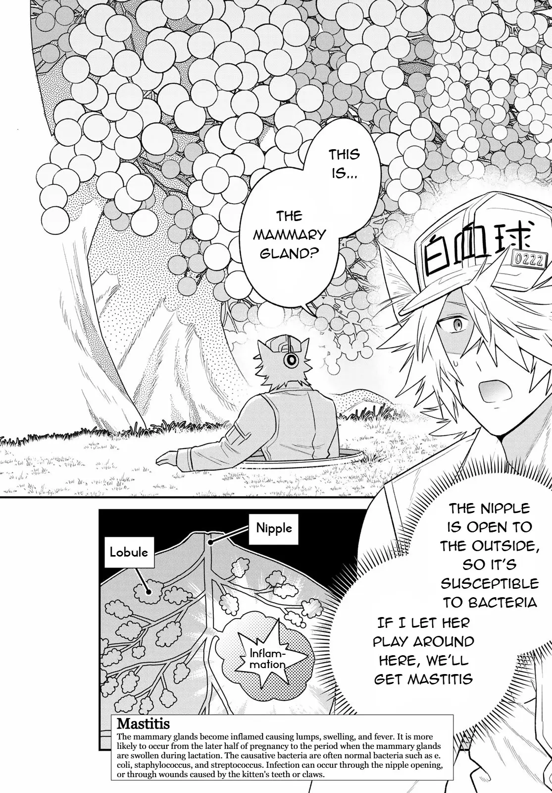 Cells At Work! Cat - Vol.2 Chapter 8: Chapter 8: Mastitis