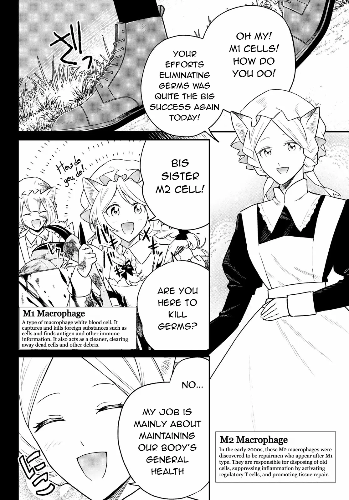 Cells At Work! Cat - Vol.2 Chapter 10: Chapter 10: Breast Tumors Part2