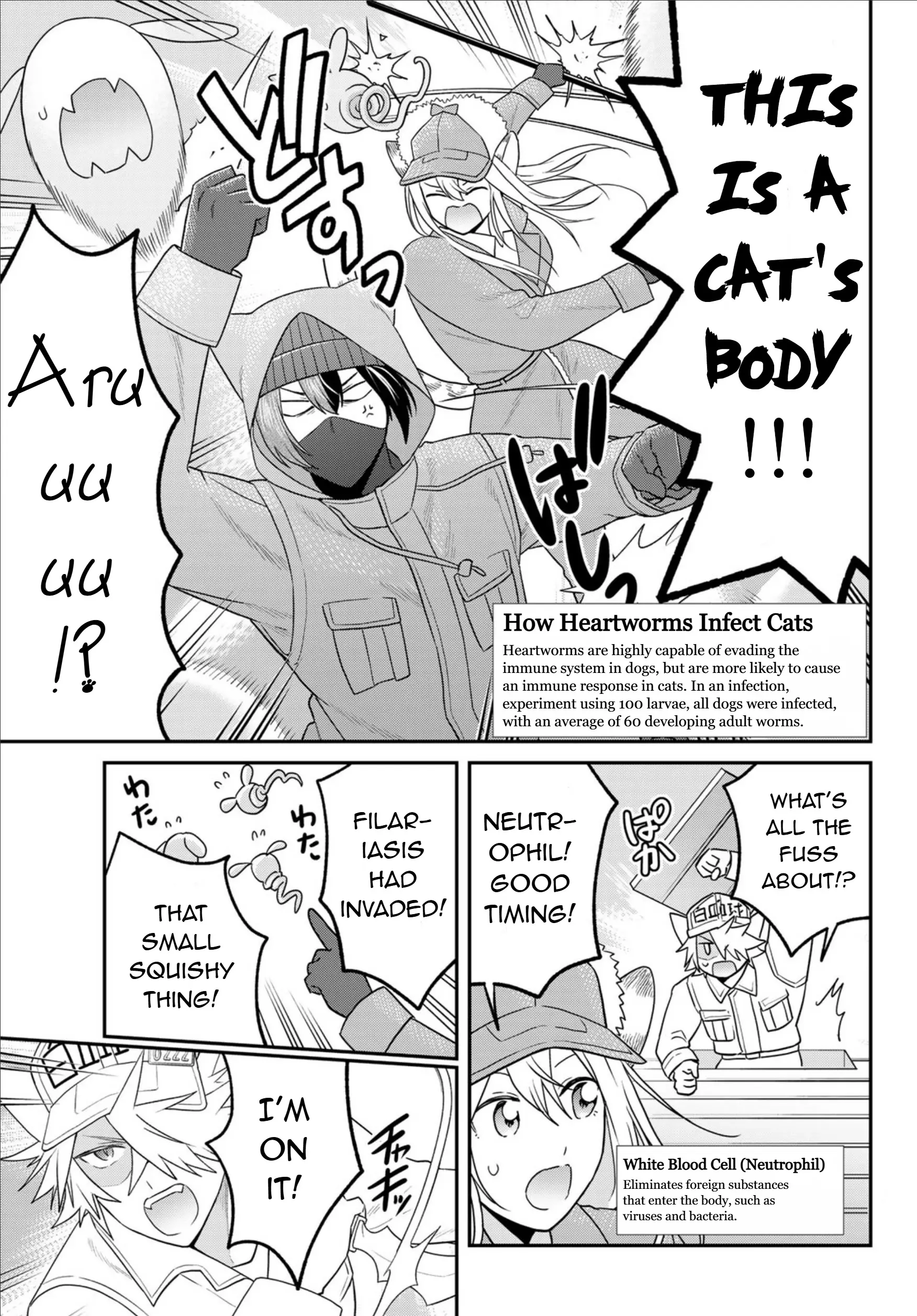 Cells At Work! Cat - Vol.3 Chapter 14: Chapter 14: Heartworms