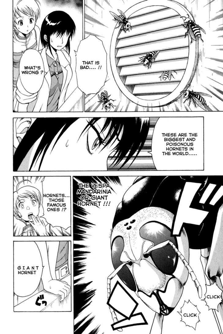 Vector Case File - Inaho No Konchuuki - Vol.1 Chapter 2 : Killer Bee