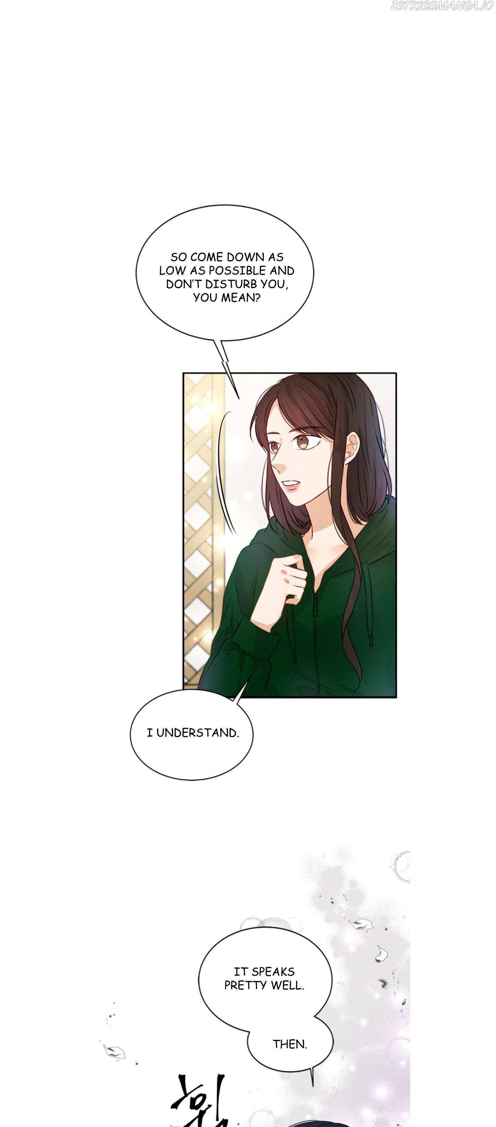 The Story Of Park’s Marriage Contract - Chapter 9