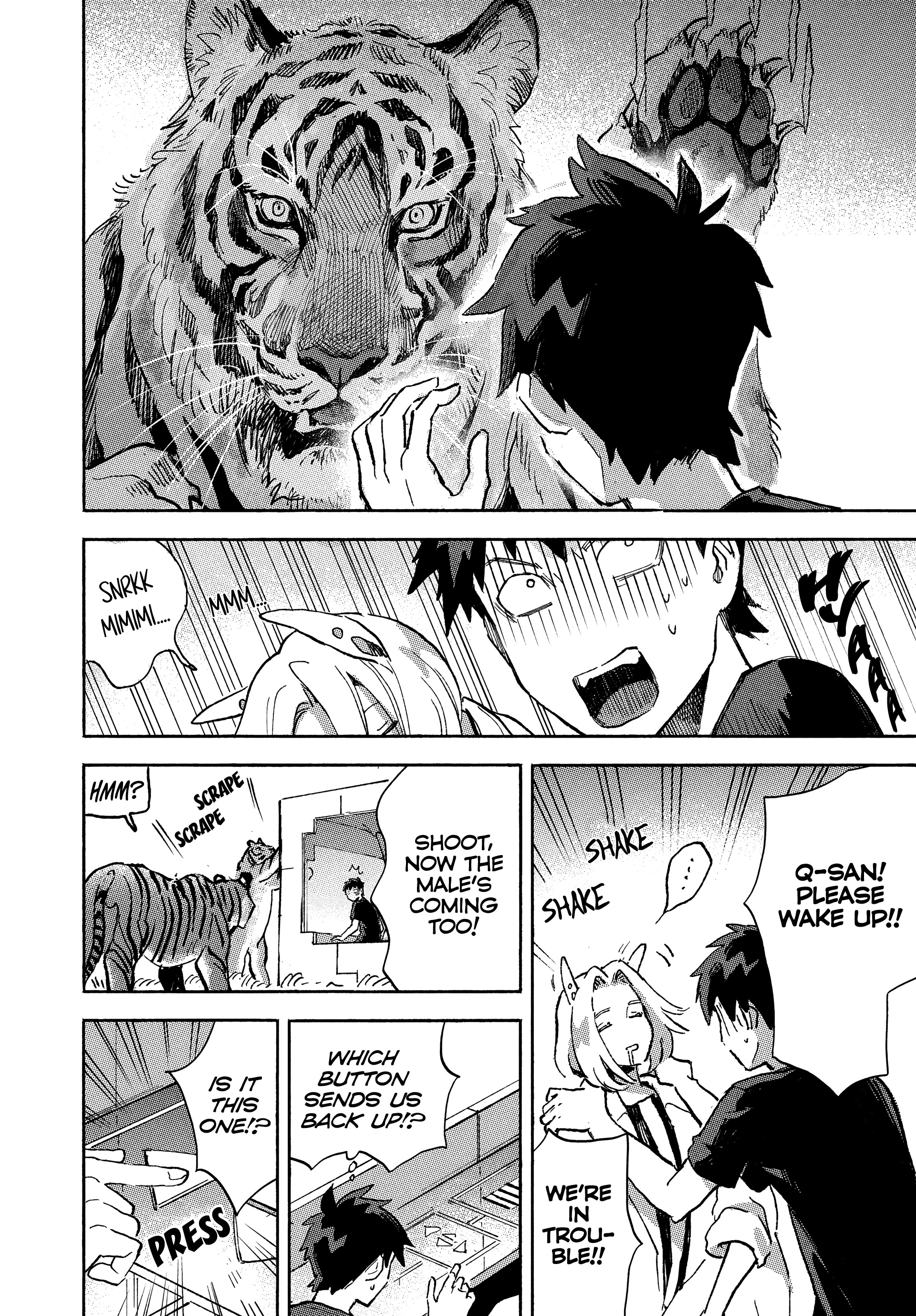 Q, What Is Love? - Vol.1 Chapter 4: Panthera Tigris Tigris