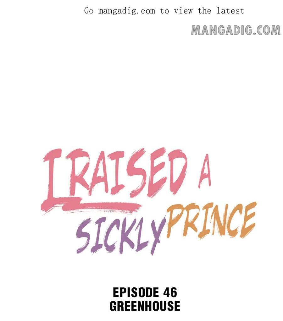 I Raised A Sick And Weak Prince - Chapter 46