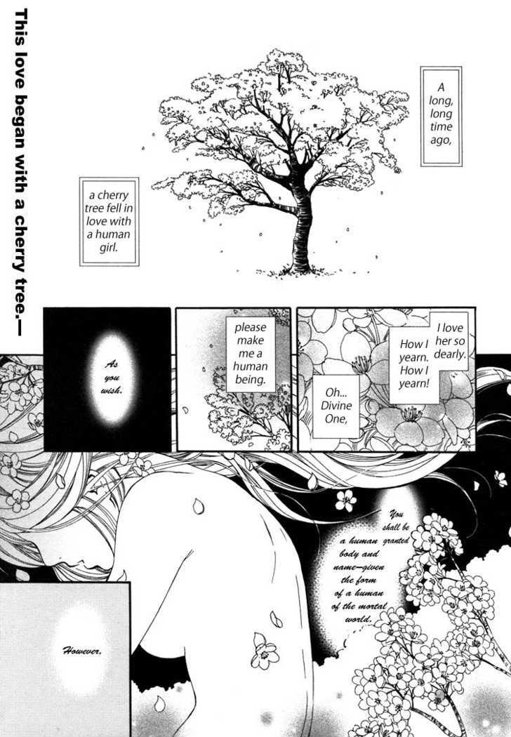 Rakuen No Jouken - Vol.1 Chapter 8 : Princess Sakura, Showered With Blossoms