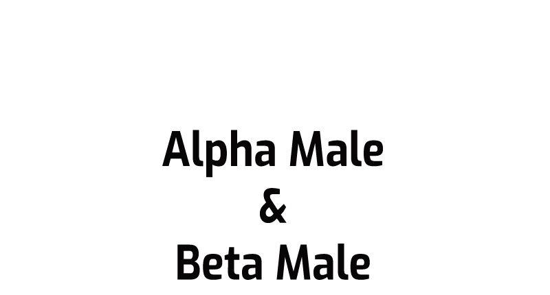 Meme Girls - Vol.2 Chapter 223: Alpha Male Vs. Beta Male