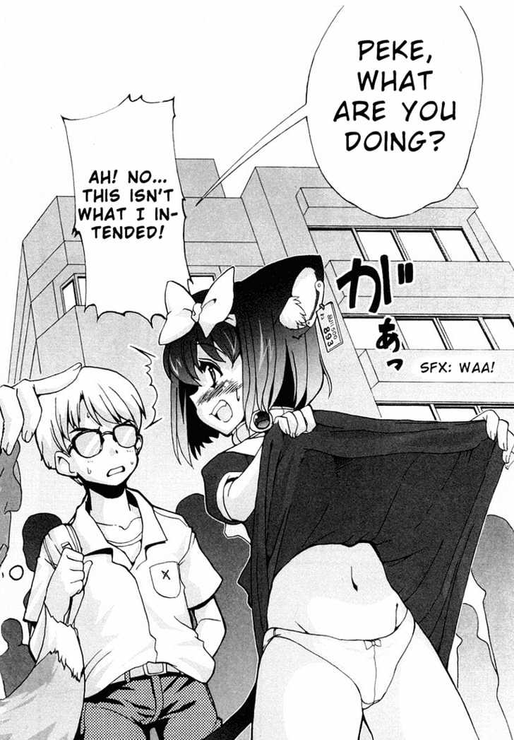 Mahou Shoujo Neko X - Vol.1 Chapter 3 : Catchapter 3 A Dog And Cardboards