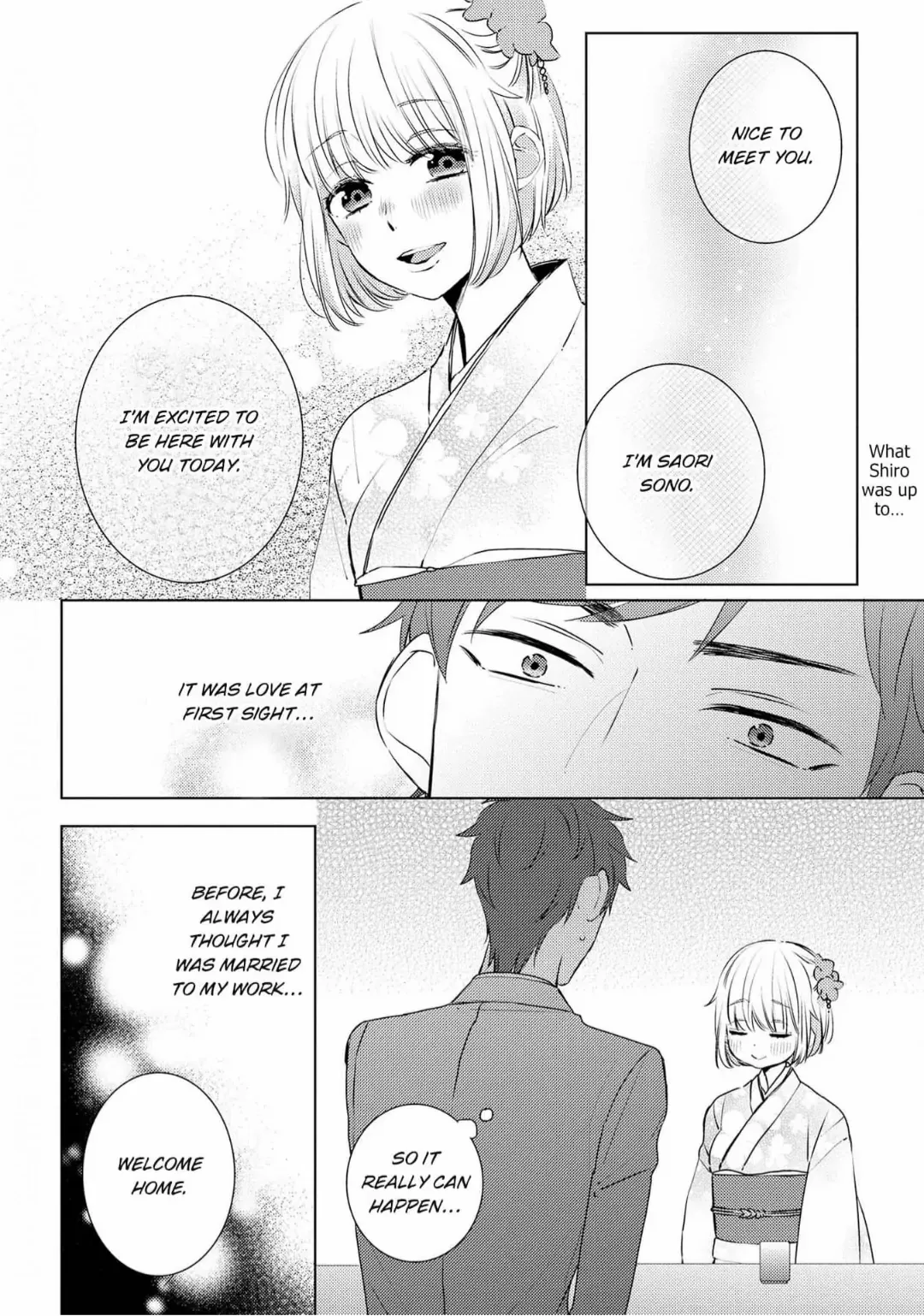 Futsutsuka Mono Desu Ga, Dekiai Shite Kudasai. - Seiryaku Kekkon Wa Koi No Hajimari!? - Chapter 1