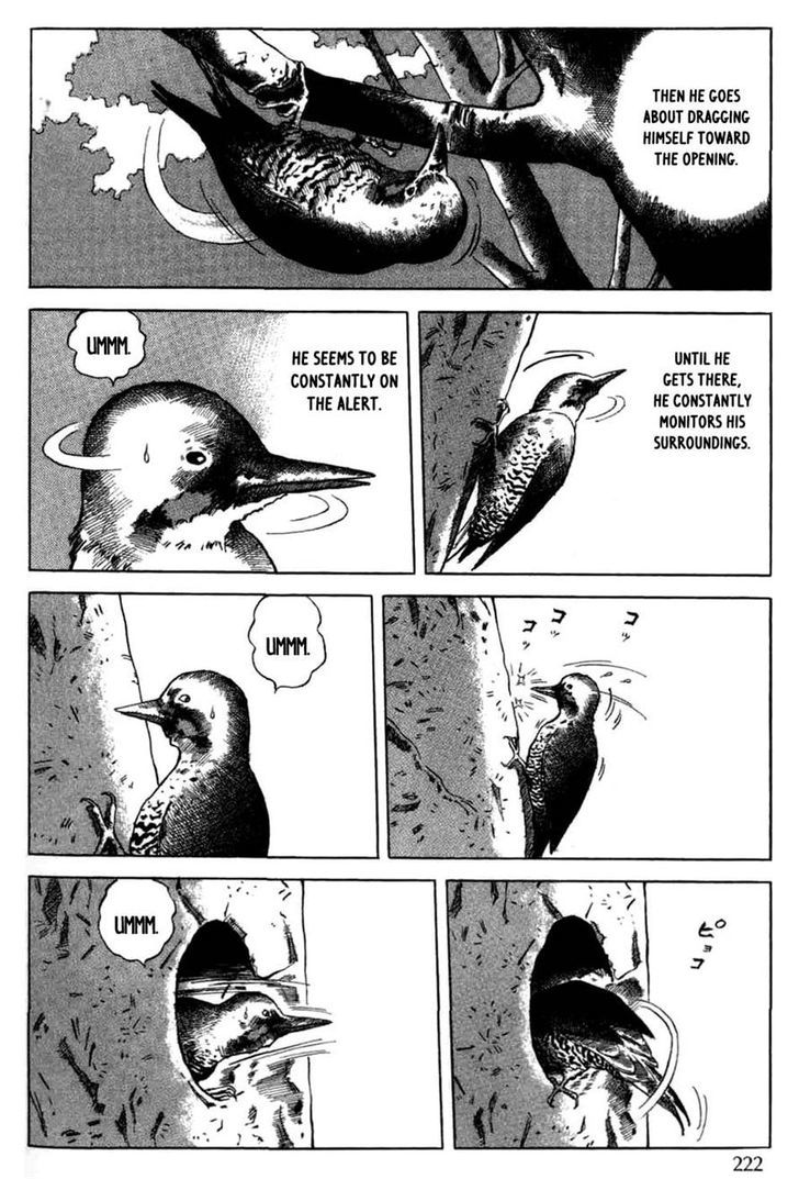 Sumiyaki Monogatari - Vol.1 Chapter 11 : The Woodpecker And How You Build A Kiln