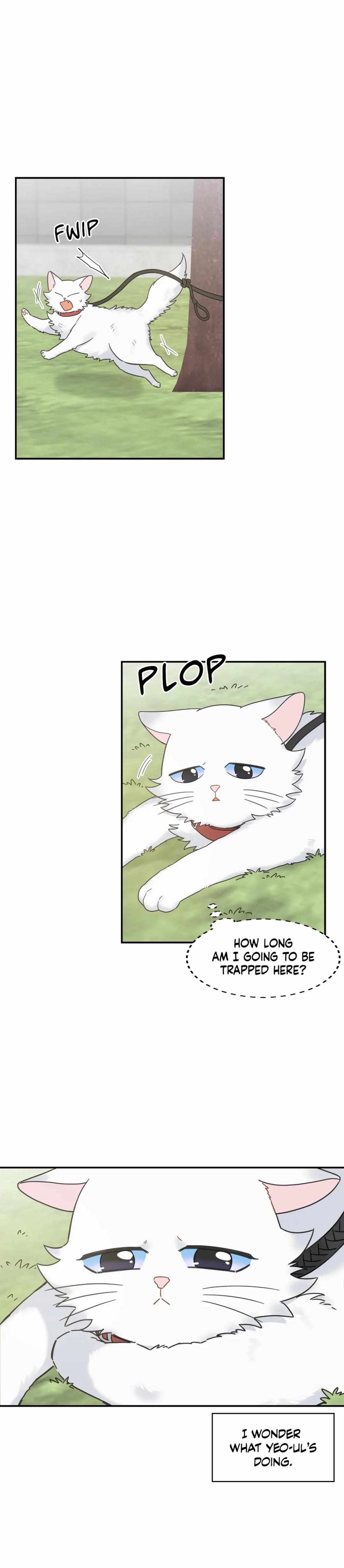 My One And Only Cat - Chapter 62