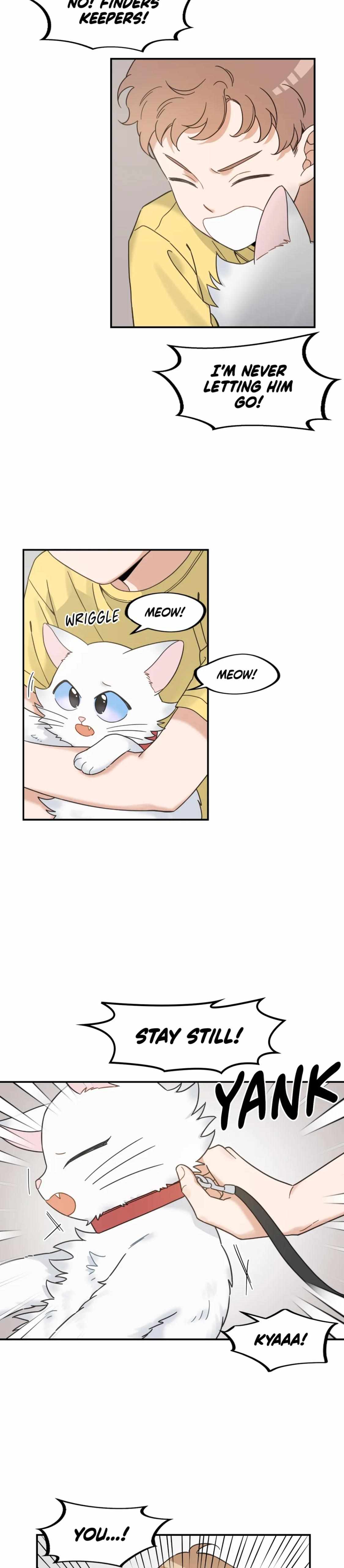 My One And Only Cat - Chapter 62