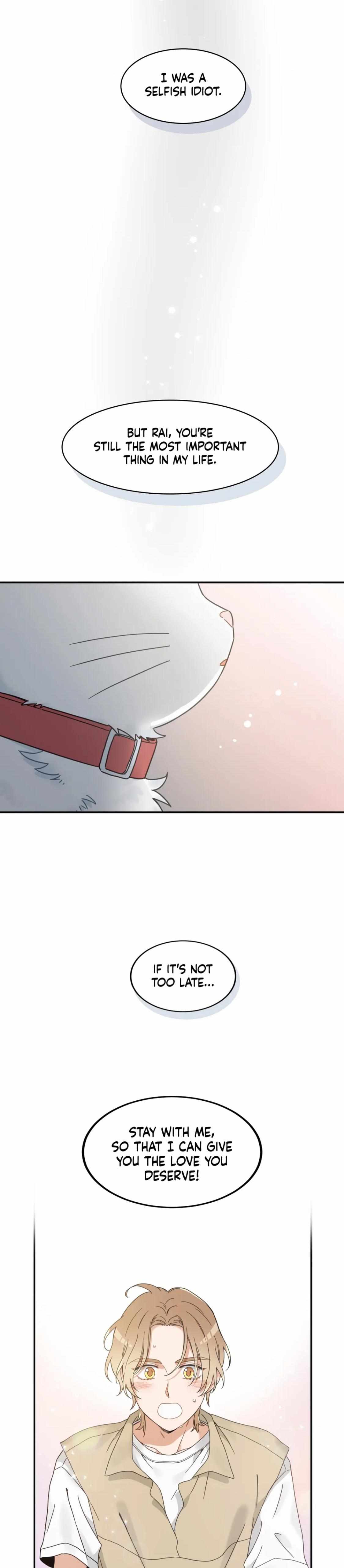 My One And Only Cat - Chapter 62