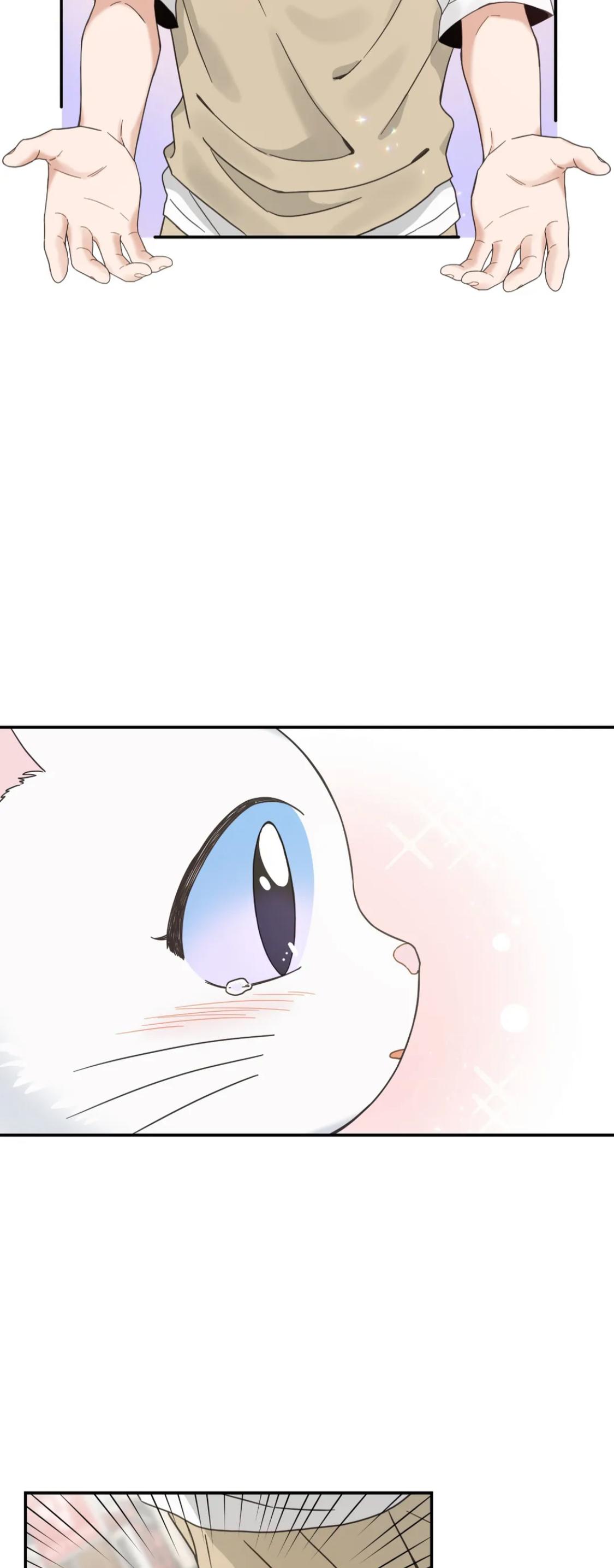 My One And Only Cat - Chapter 62