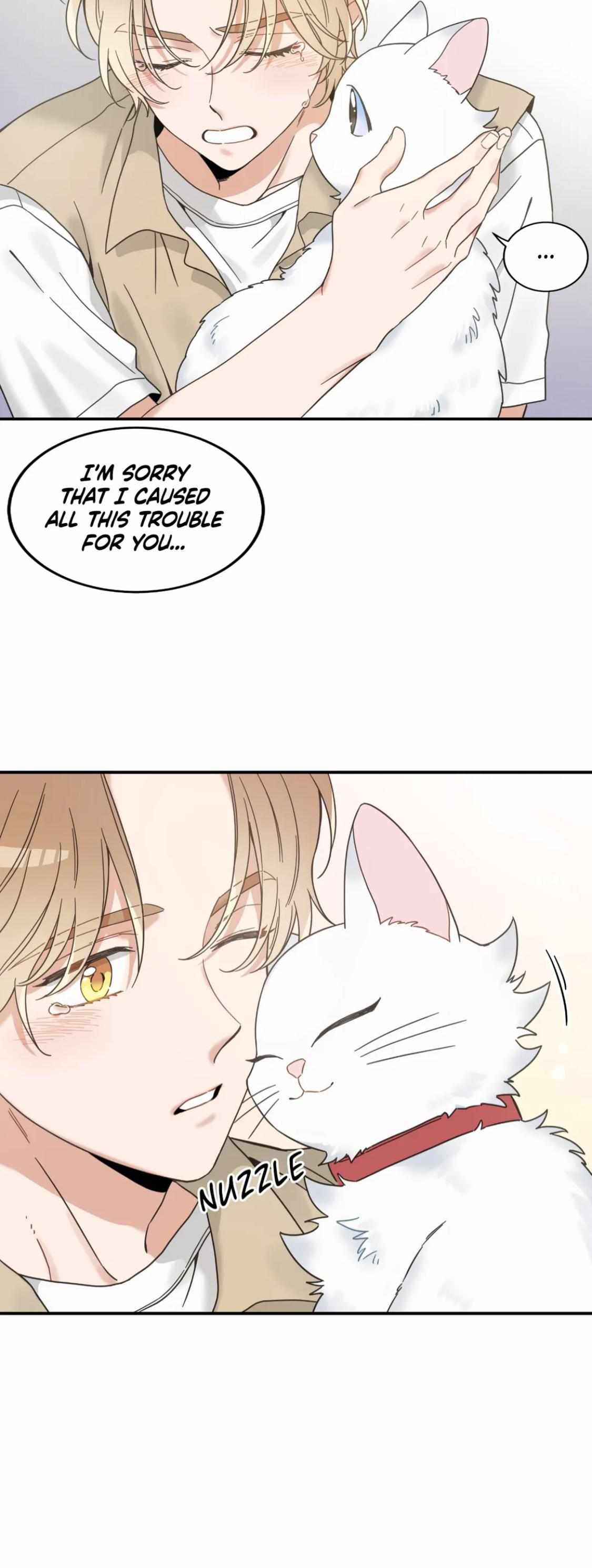 My One And Only Cat - Chapter 62