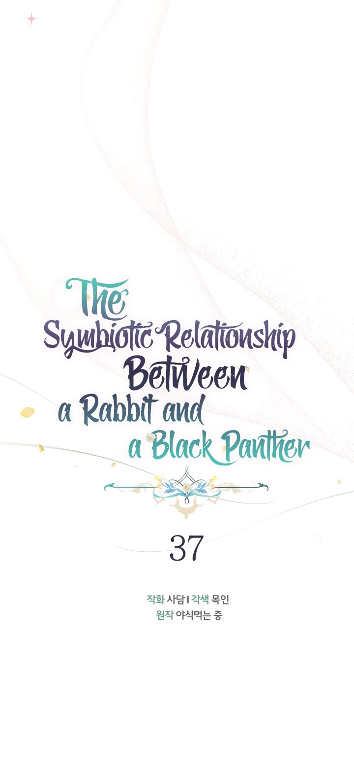 A Symbiotic Relationship Between A Rabbit And A Black Panther - Chapter 37