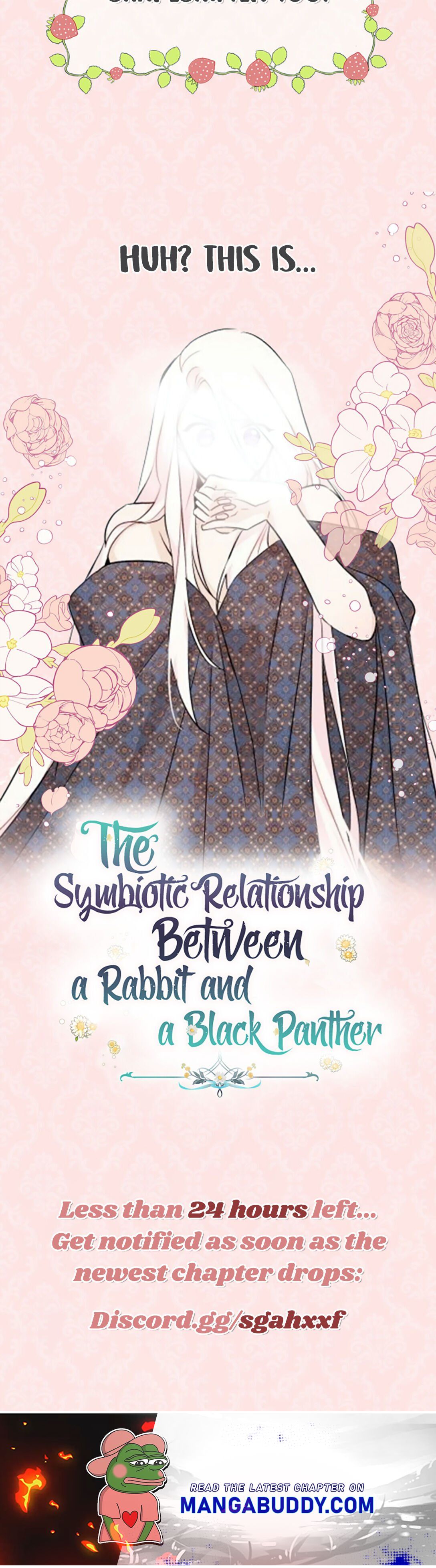 A Symbiotic Relationship Between A Rabbit And A Black Panther - Chapter 44.5