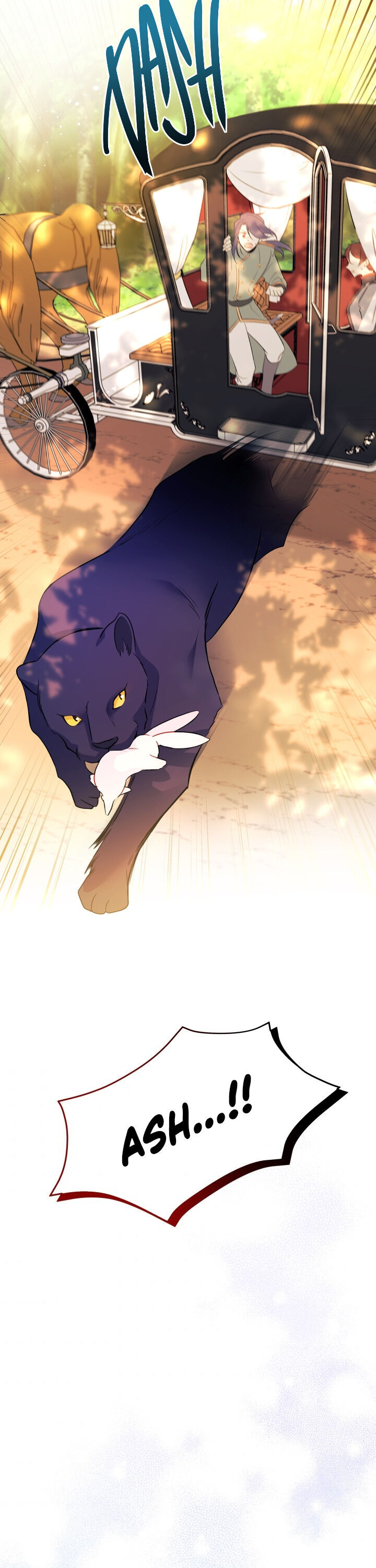 A Symbiotic Relationship Between A Rabbit And A Black Panther - Chapter 29