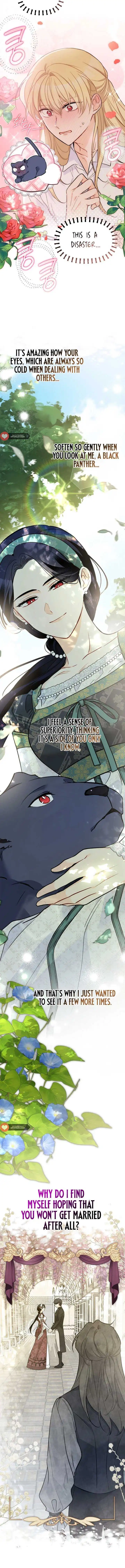 A Symbiotic Relationship Between A Rabbit And A Black Panther - Chapter 153