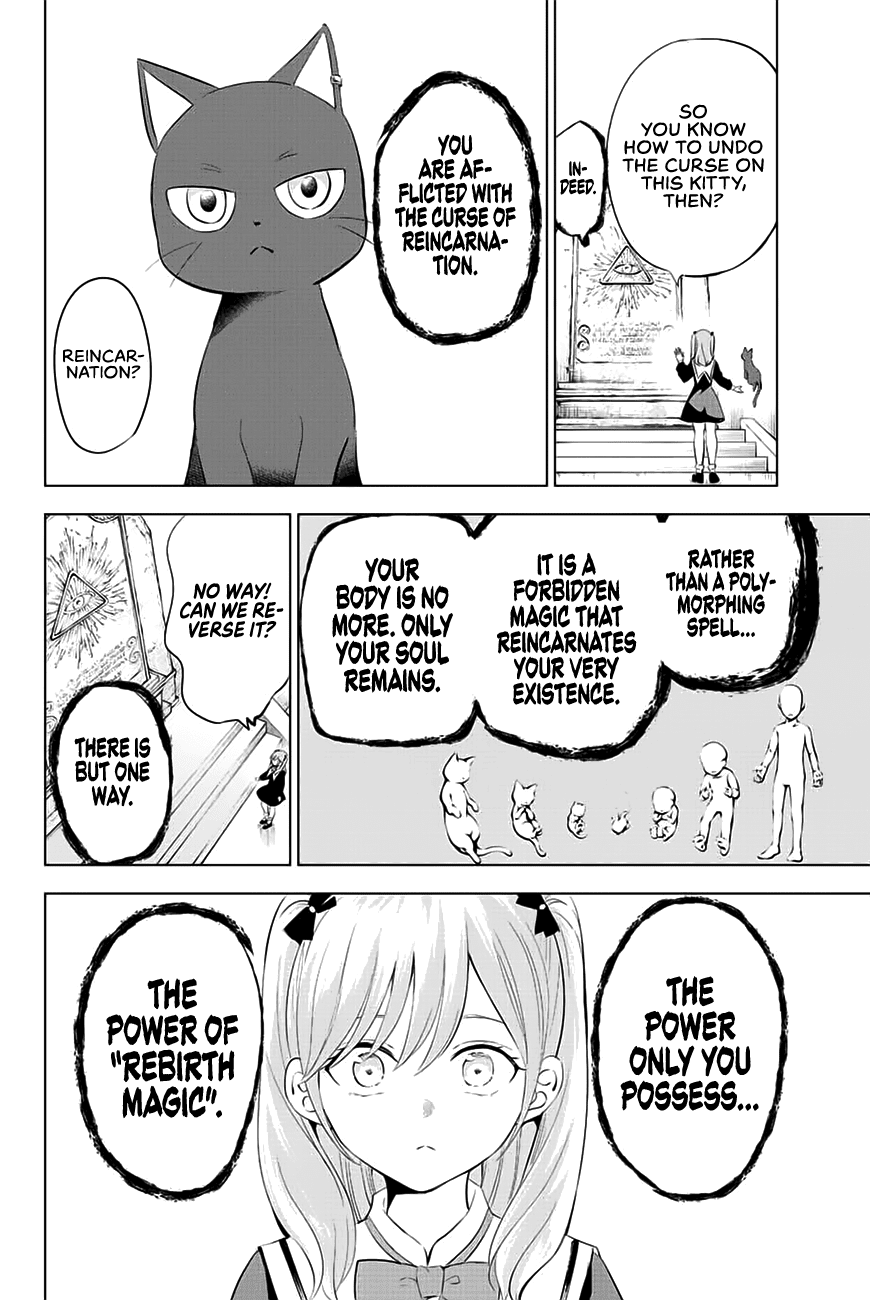 Kuroneko To Majo No Kyoushitsu - Chapter 1: Spica And The Black Cat