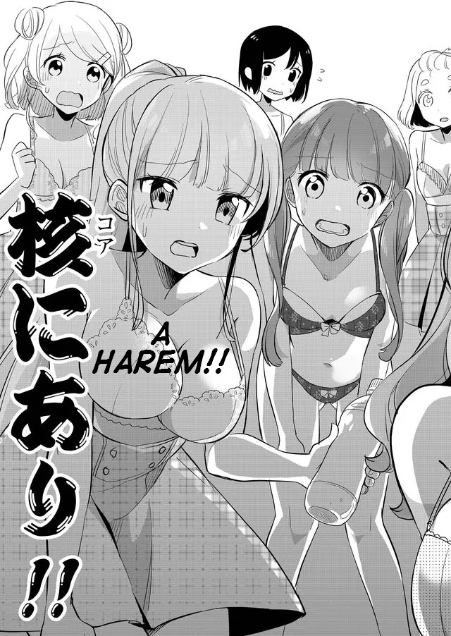 Mission In Harem - Vol.1 Chapter 1