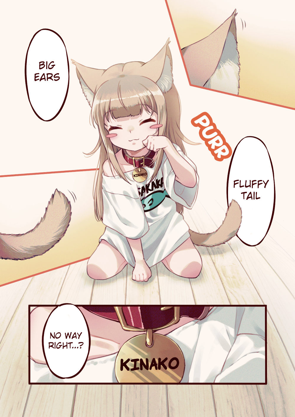 My Cat Is A Kawaii Girl - Chapter 1: A Cat Has Arrived