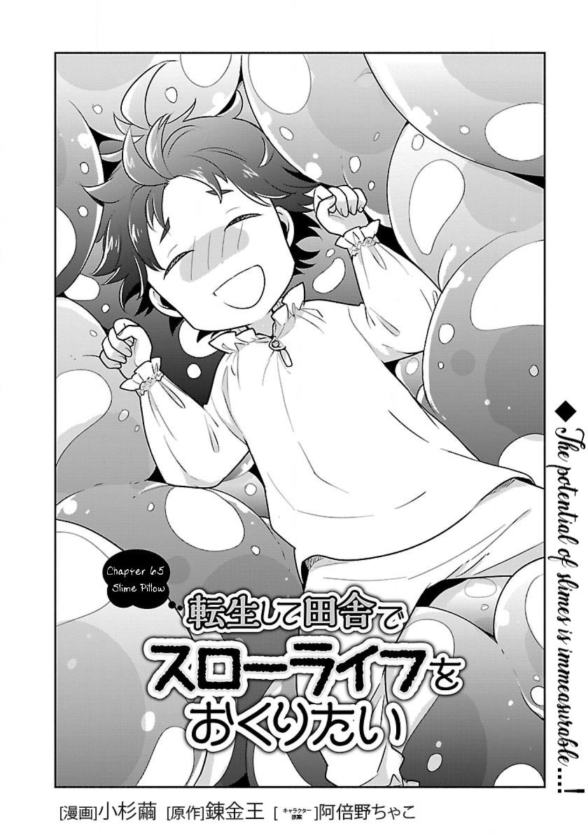 Tensei Shite Inaka De Slowlife Wo Okuritai - Chapter 65: Slime Pillow