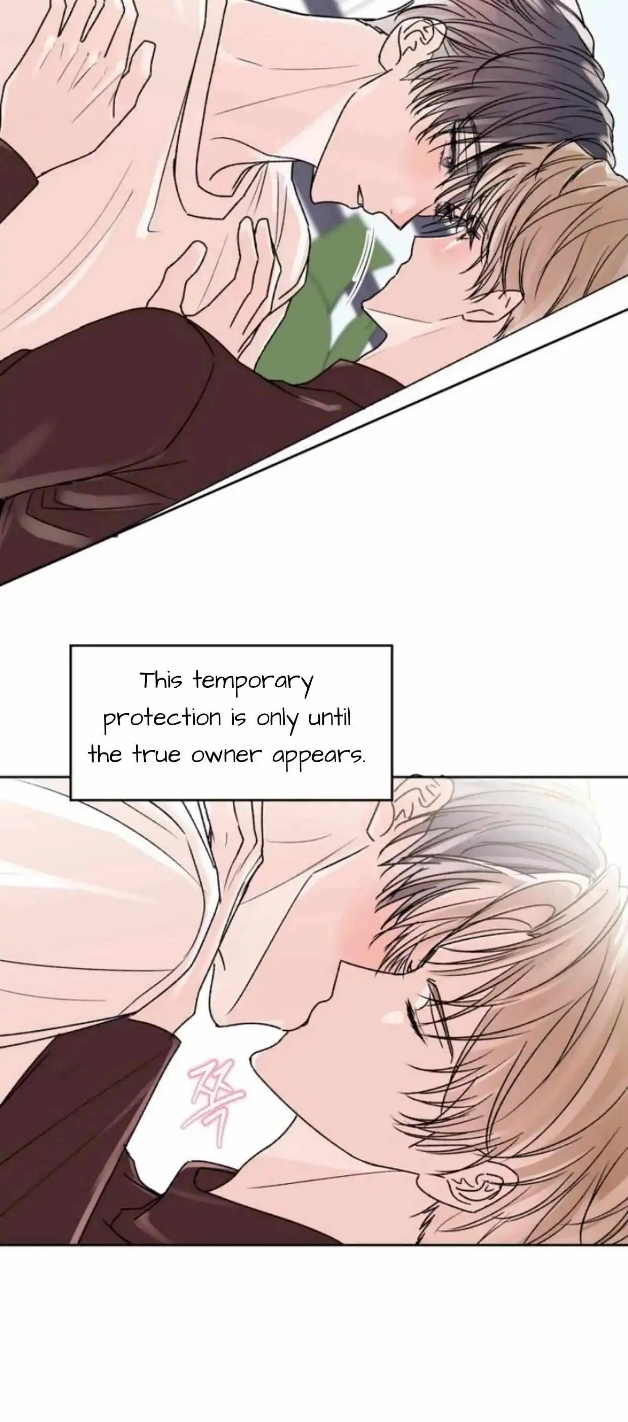 Temporary Protection - Chapter 6