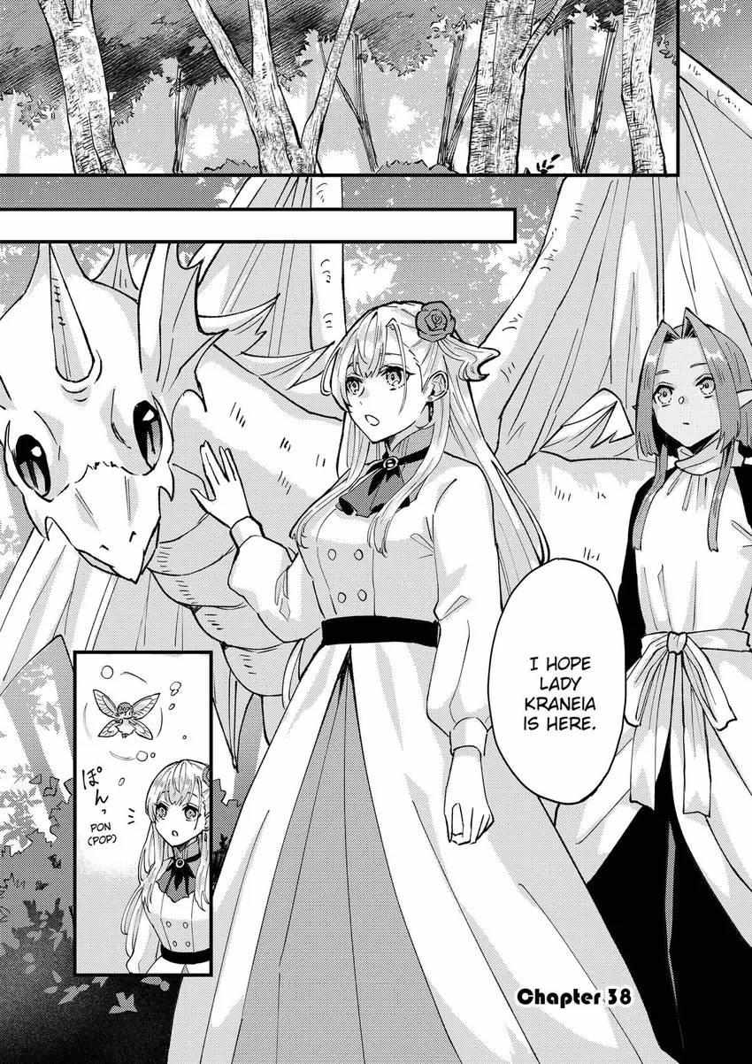 I Was Told To Relinquish My Fiancé To My Little Sister, And The Greatest Dragon Took A Liking To Me And Unbelievably Took Over The Kingdom - Chapter 38