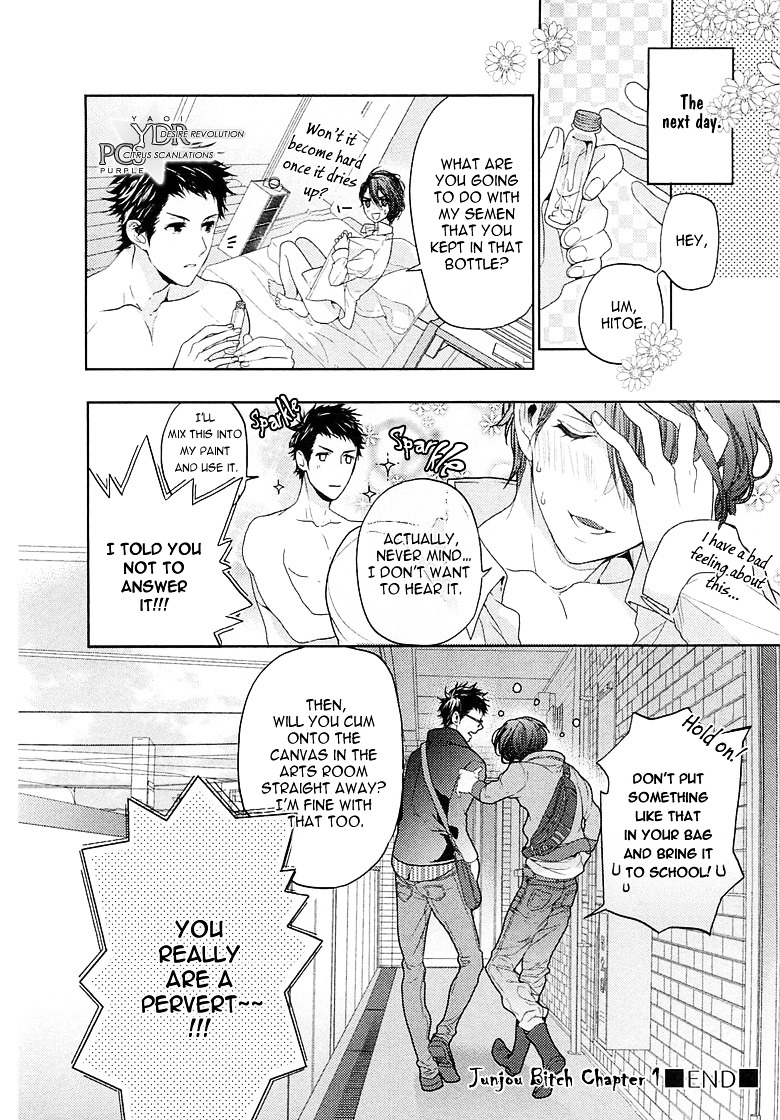 Junjou Bitch, Hatsukoi Kei - Vol.1 Chapter 1 : Scene 1