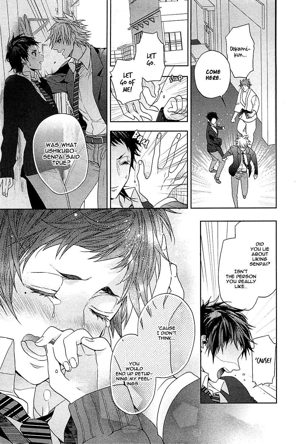 Junjou Bitch, Hatsukoi Kei - Chapter 5