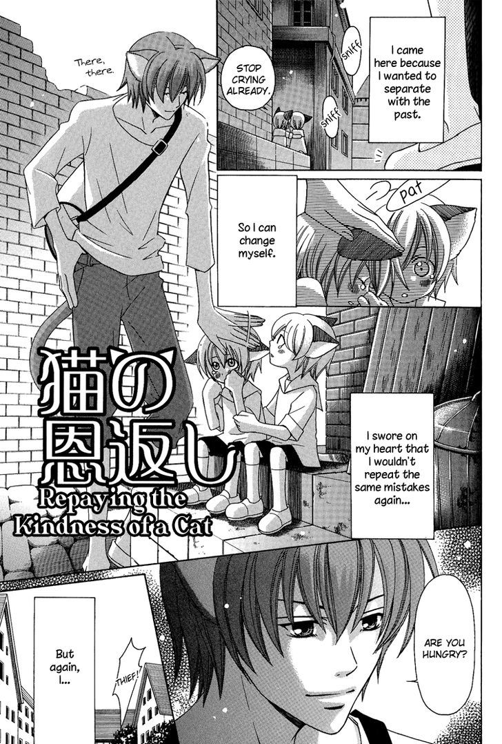 Neko No Yomeiri - Vol.1 Chapter 3